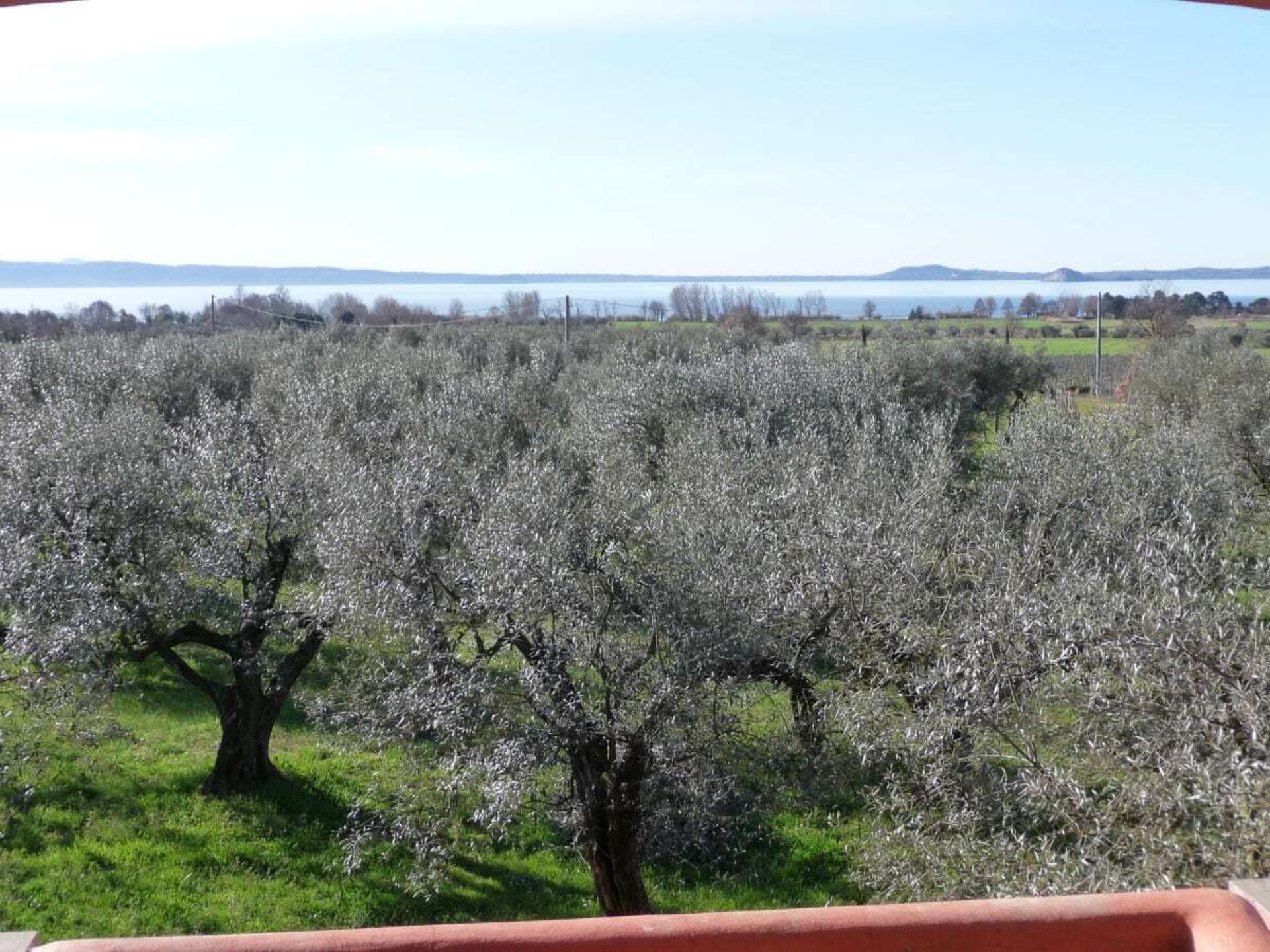 Sfeervol vakantiehuis in olijfgaard, 5 minuten van het Meer van Bolsena - foto 14