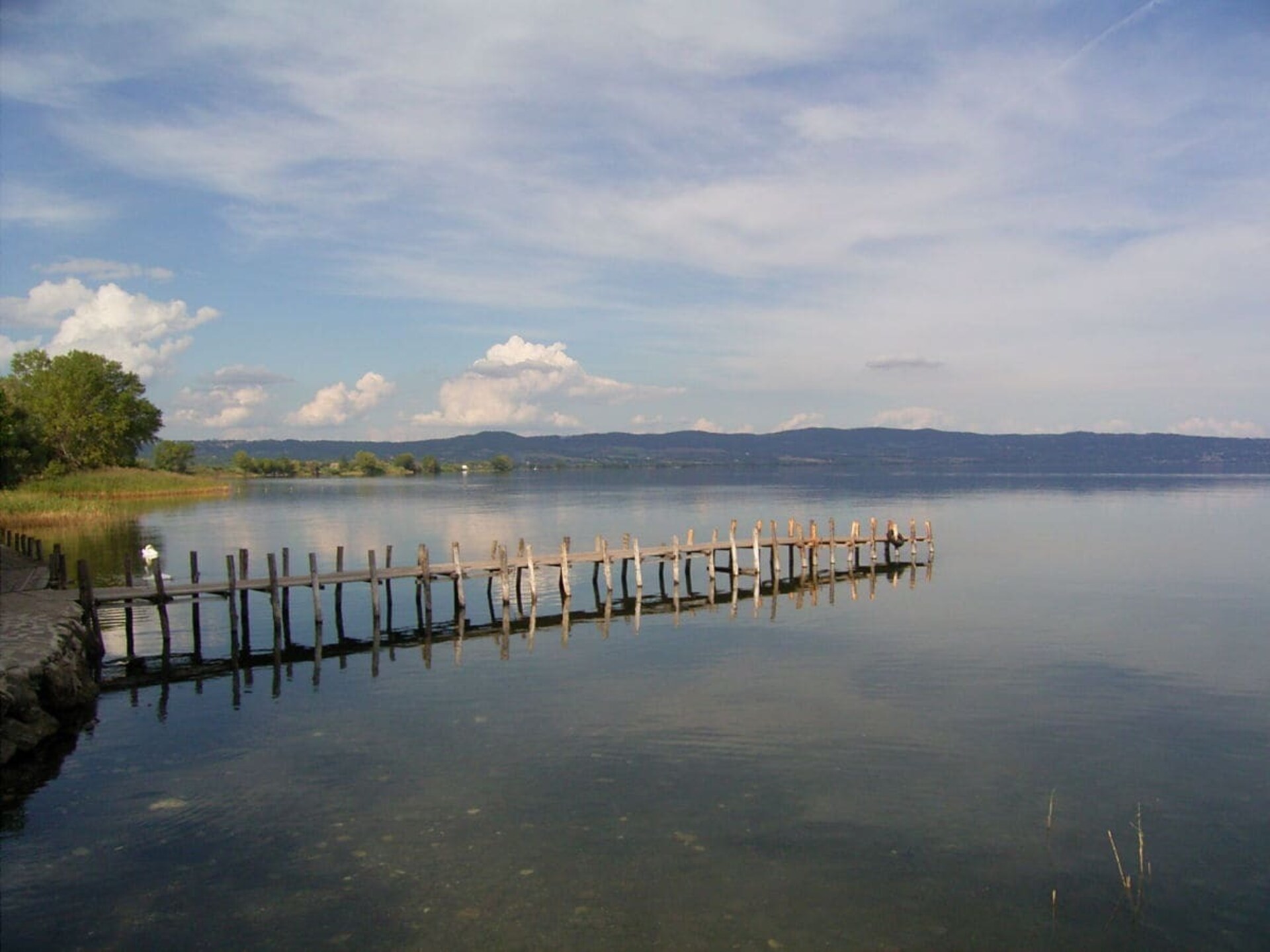 Sfeervol vakantiehuis in olijfgaard, 5 minuten van het Meer van Bolsena - foto 18