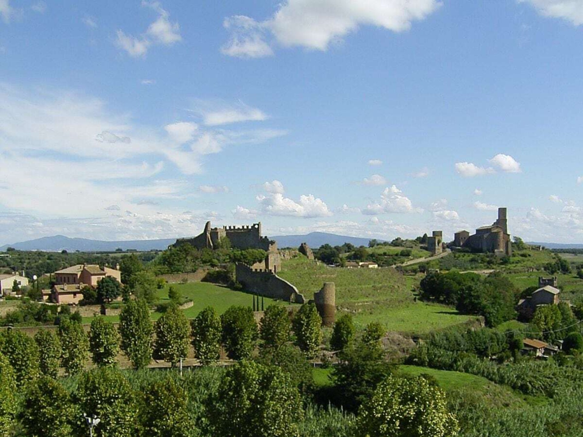 Sfeervol vakantiehuis in olijfgaard, 5 minuten van het Meer van Bolsena - foto 11