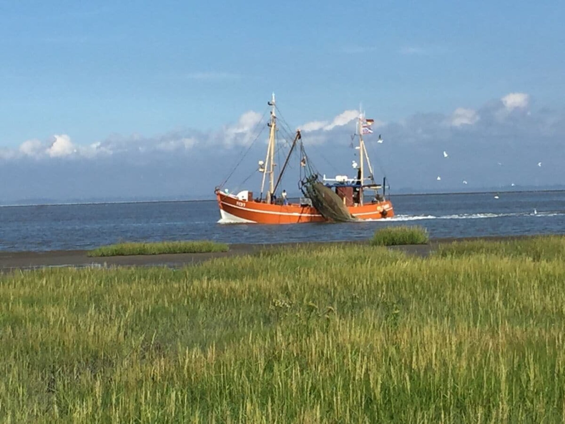 Charmant vakantiehuis in Fedderwardersiel, direct bij de haven - foto 27