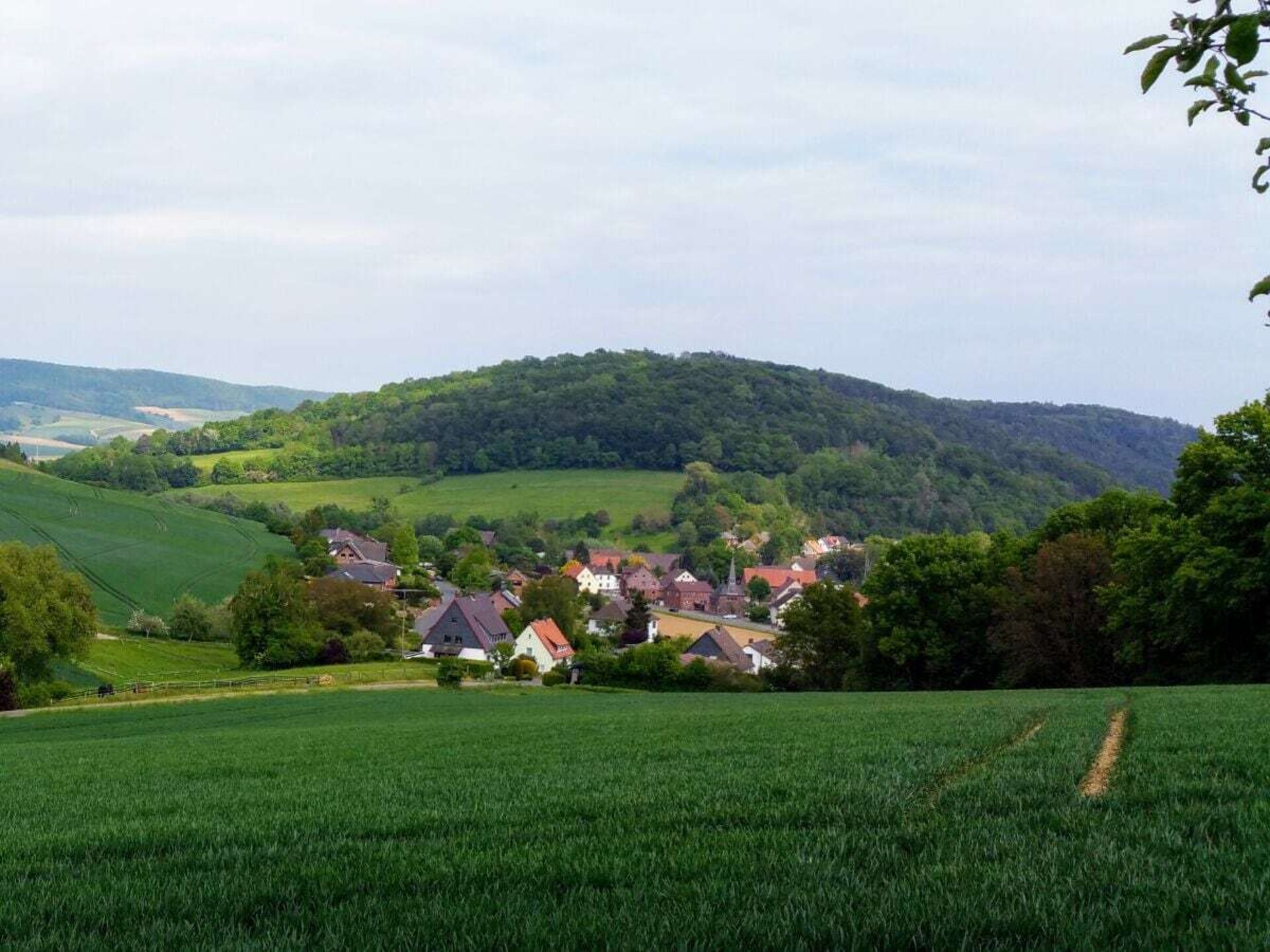 Knus vakantiehuis voor 4 in Bodenwerder aan de Weser, met WiFi en hond welkom - foto 17