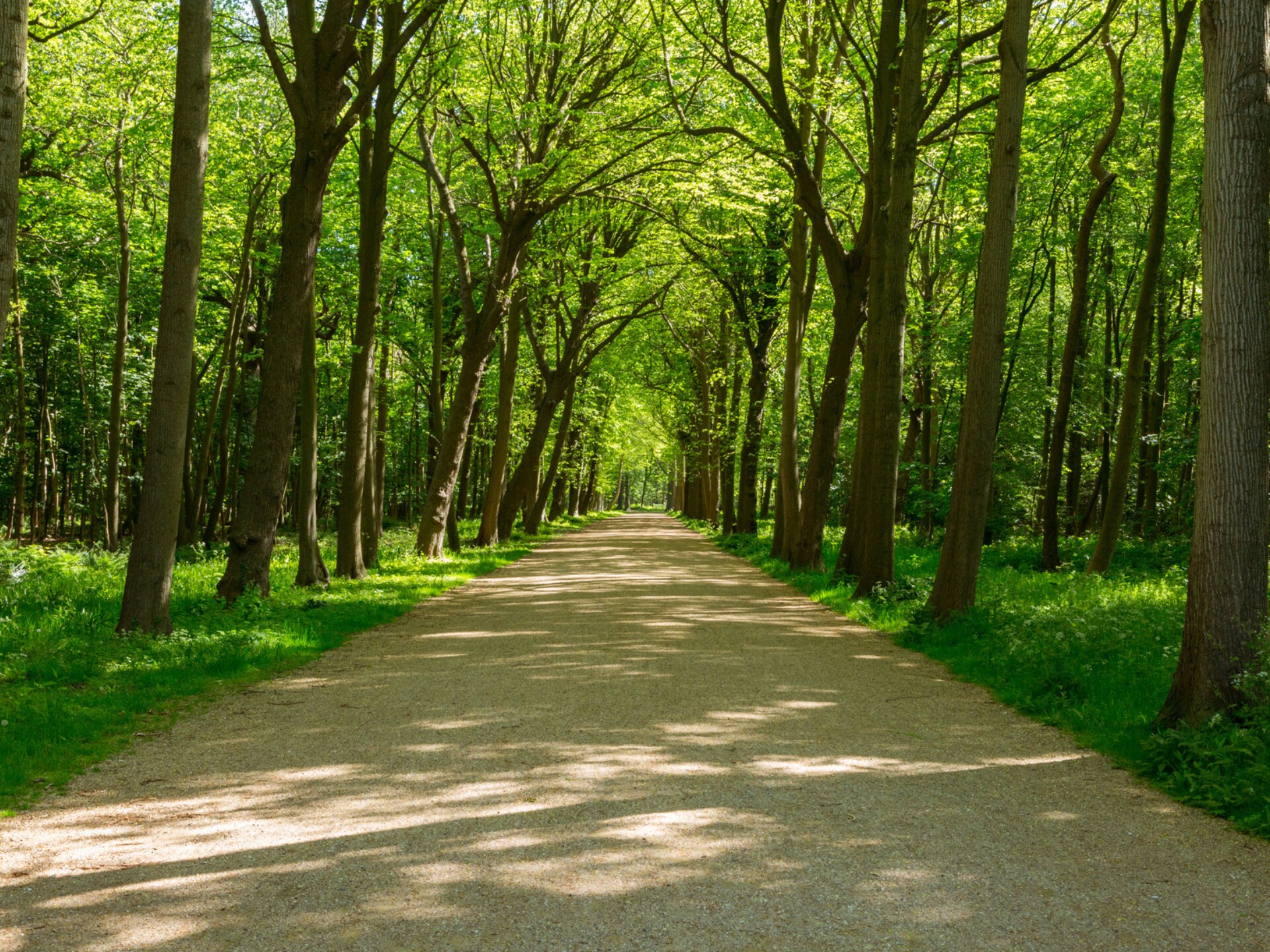 Vrijstaand vakantiehuis met tuin, 1,9 km van strand Oostkapelle - foto 27