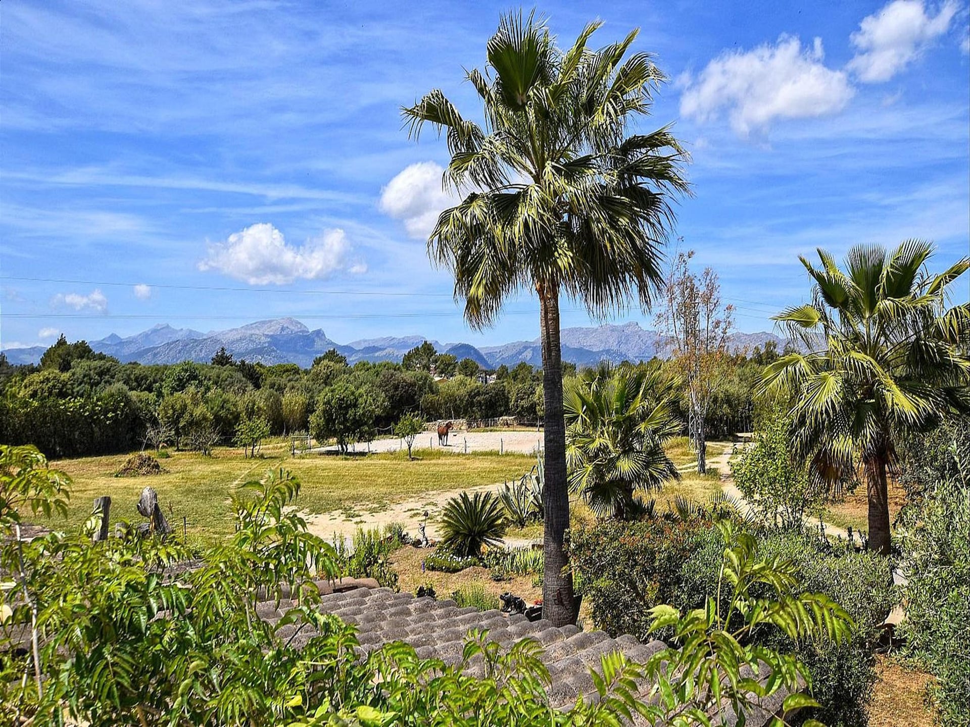 Privézwembad en luxe in Sa Torre, appartement op Mallorca - foto 36