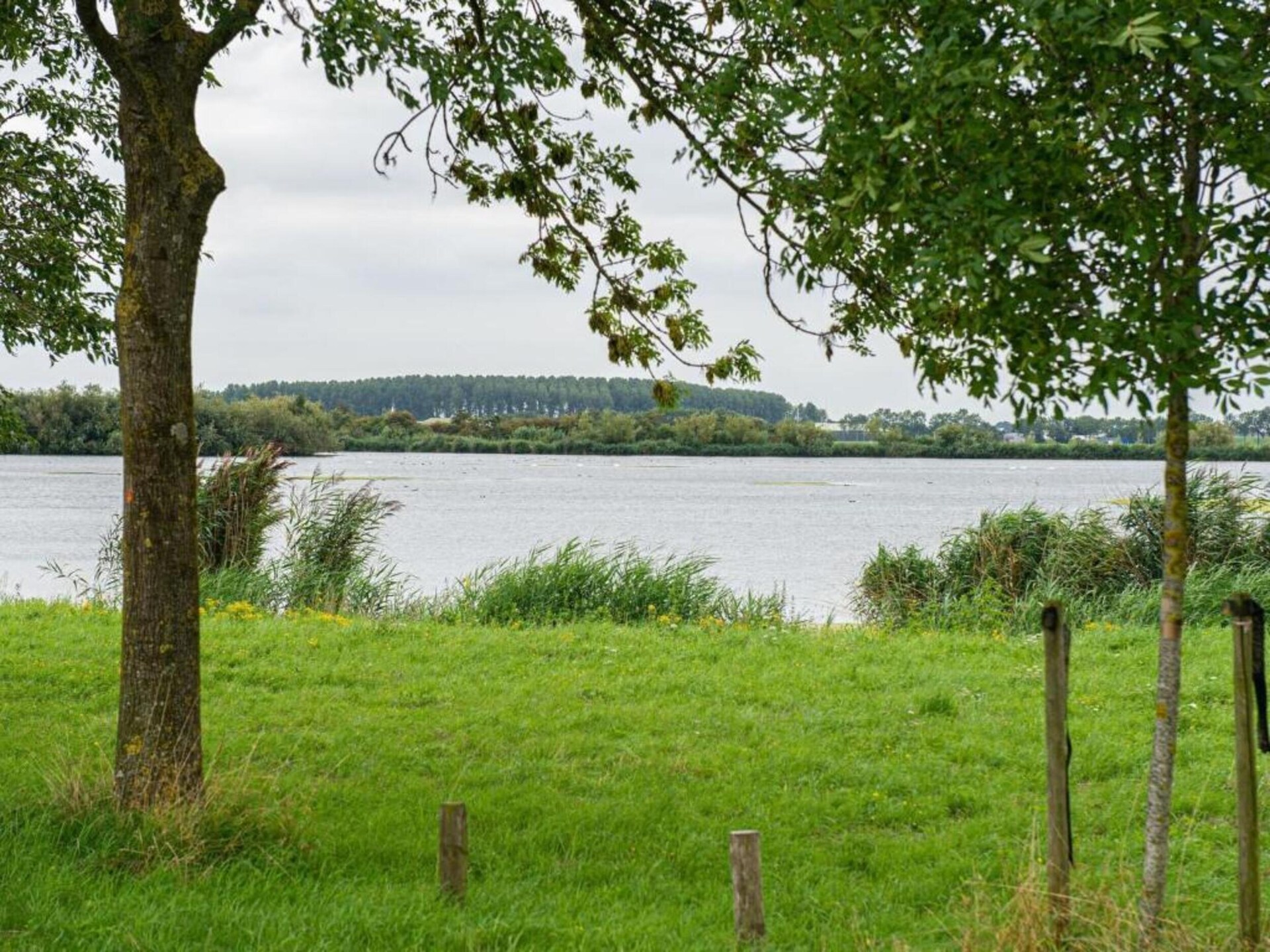 Kuifduiker 122: Vrijstaand vakantiehuis aan het meer in Simonshaven - foto 31