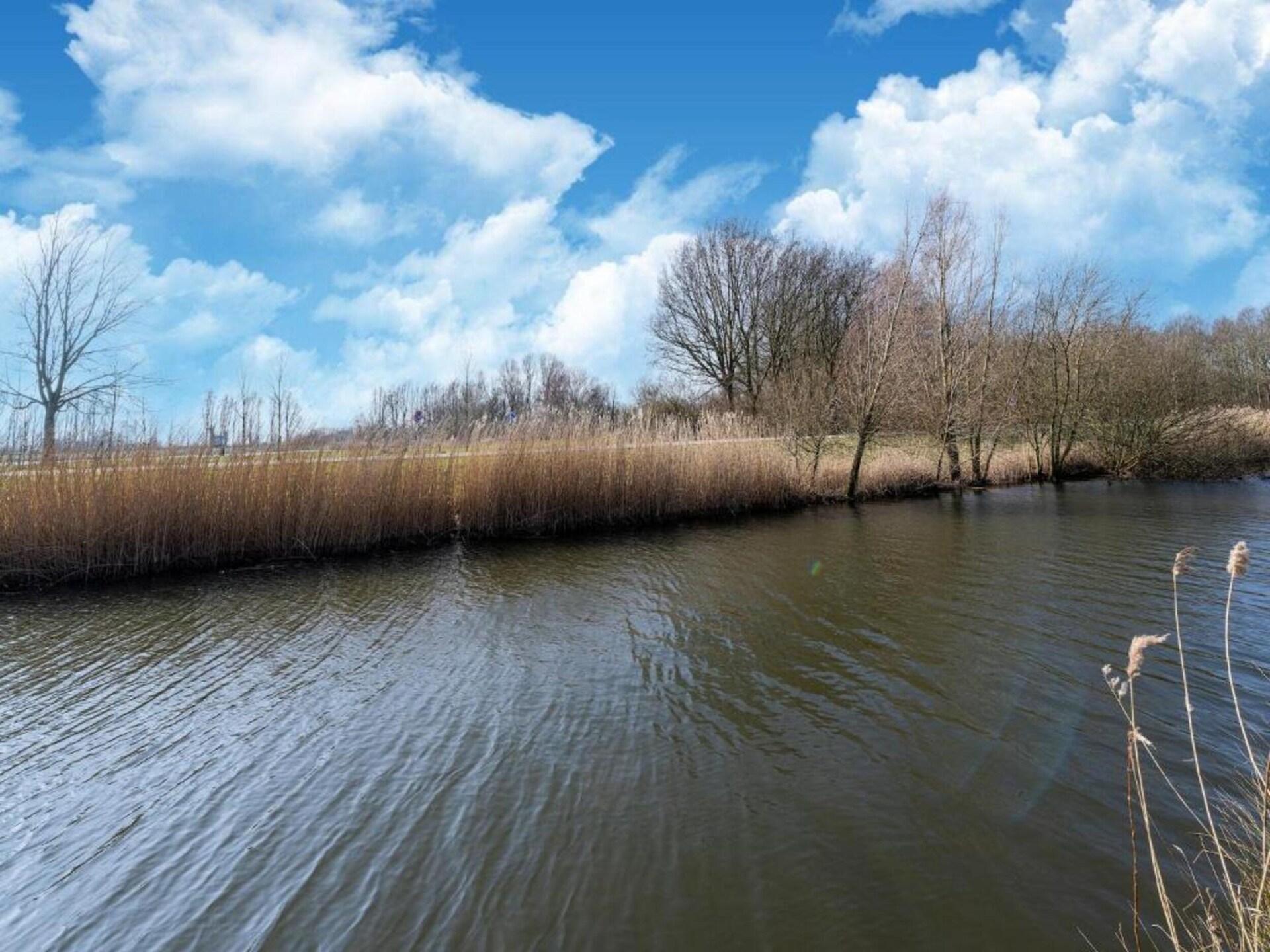 Kuifduiker 122: Vrijstaand vakantiehuis aan het meer in Simonshaven - foto 37