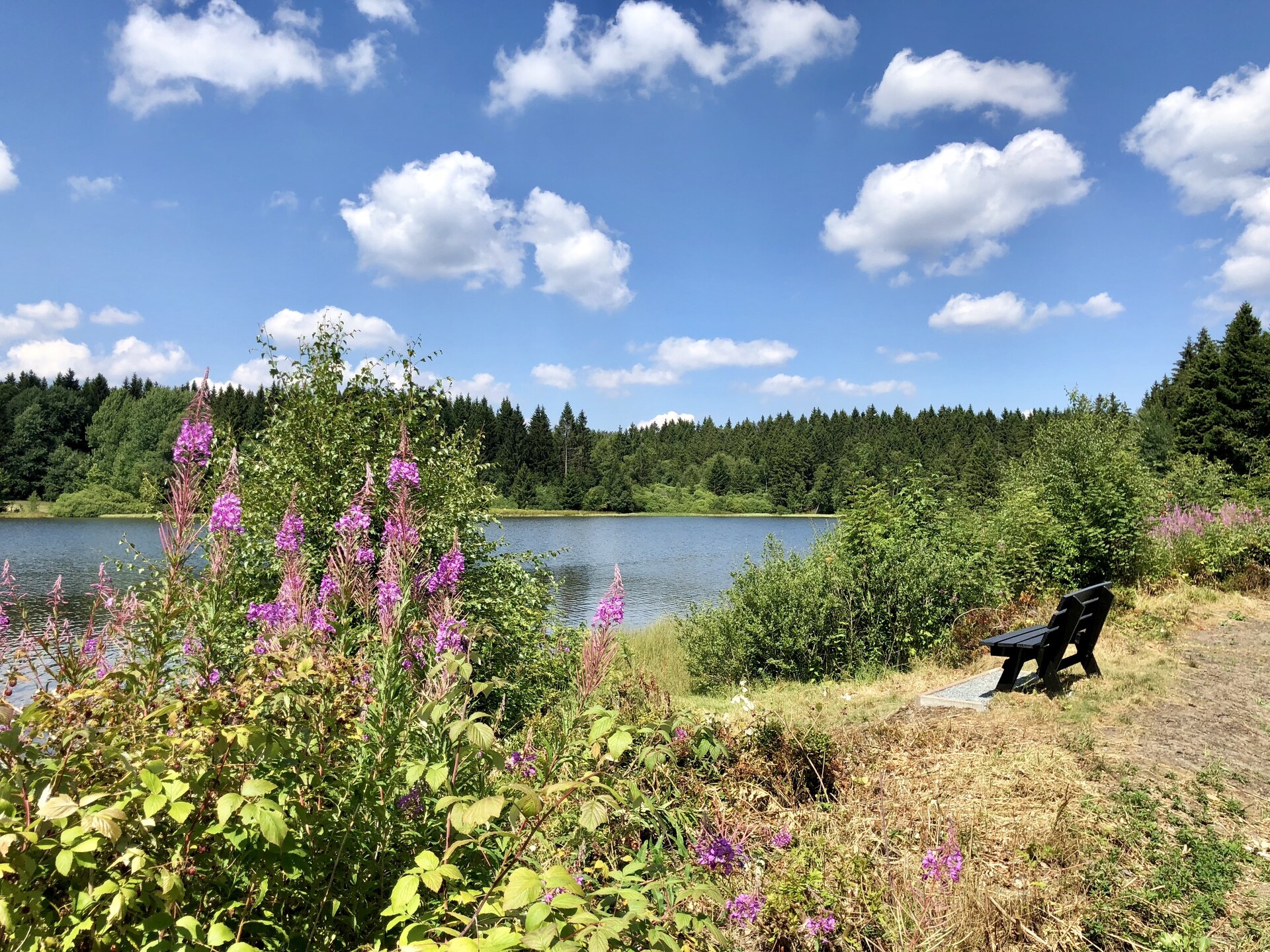 Vrijstaand Nurdachhaus aan de Waldsee in Clausthal-Zellerfeld voor 4 personen - foto 22