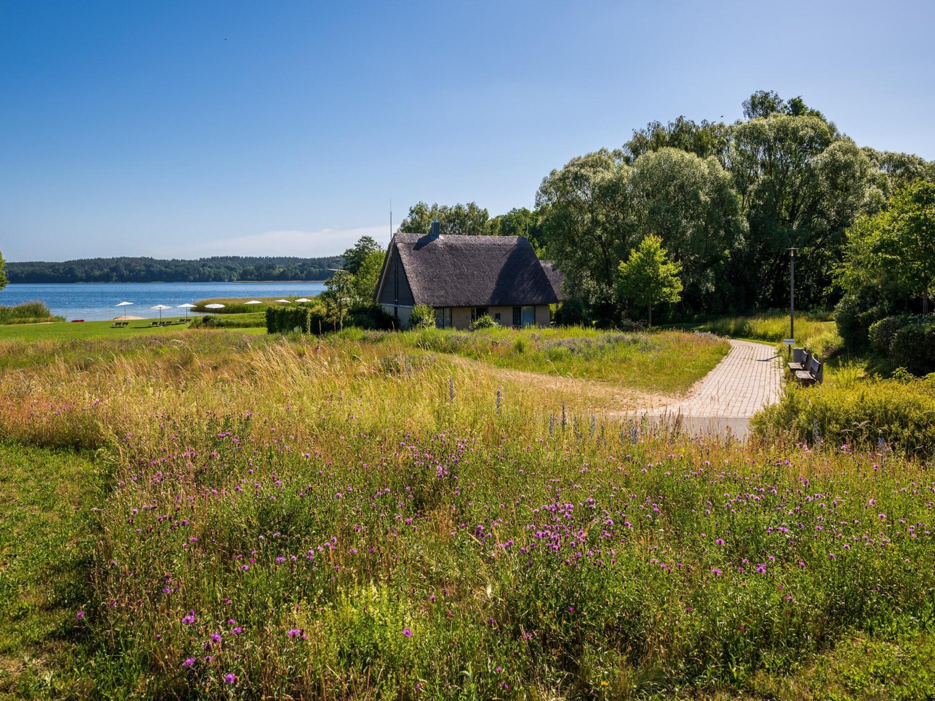 Natuurlijk appartement voor 4 personen aan het Plauer See in Mecklenburg - foto 35