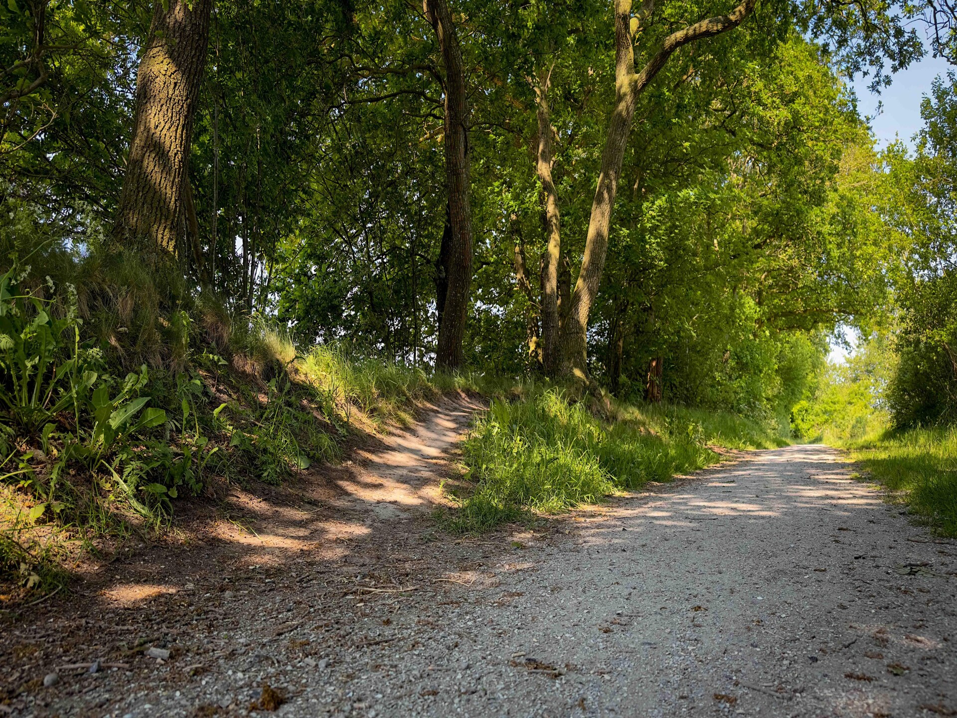 It Simmerhuske: elegant vakantiehuis aan Fries kanaal met oplaadpunten - foto 24