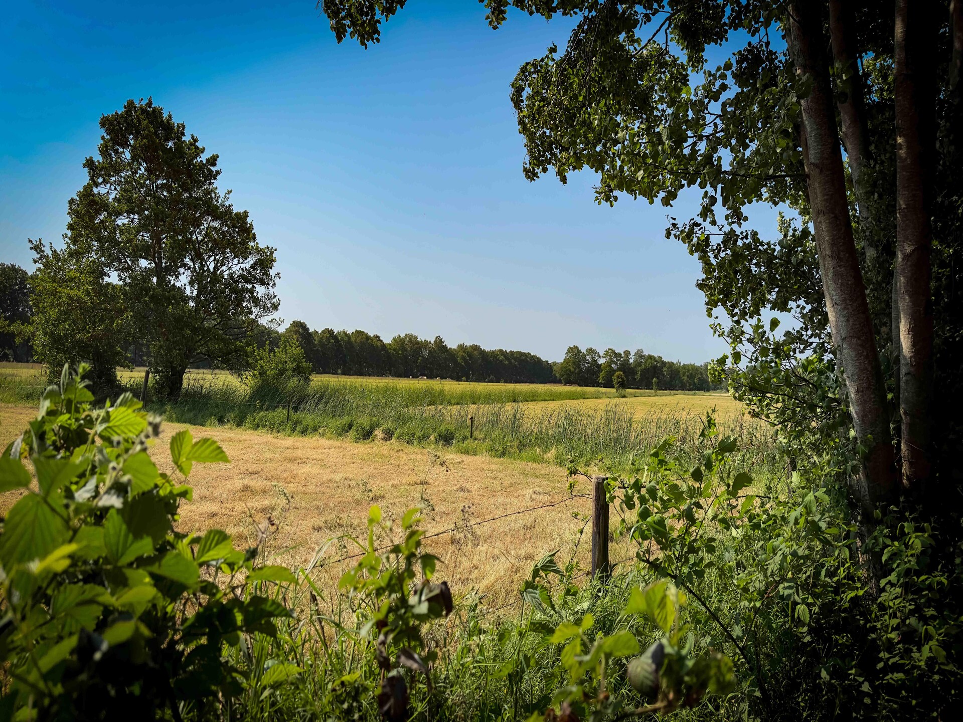 It Simmerhuske: elegant vakantiehuis aan Fries kanaal met oplaadpunten - foto 25