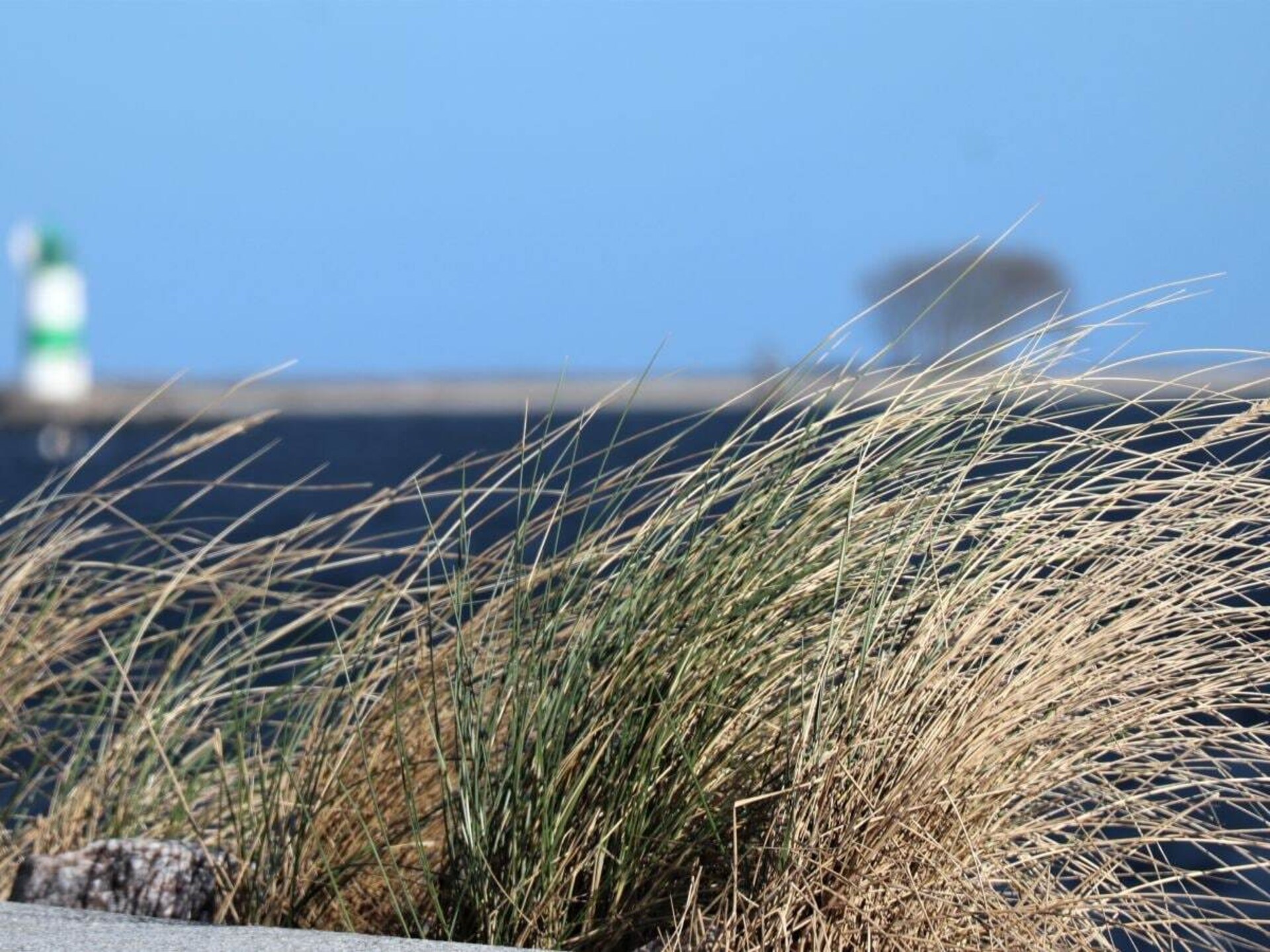 Molenhuus Kappeln: Vakantiehuis met zeezicht en hond aan de Oostzee - foto 31