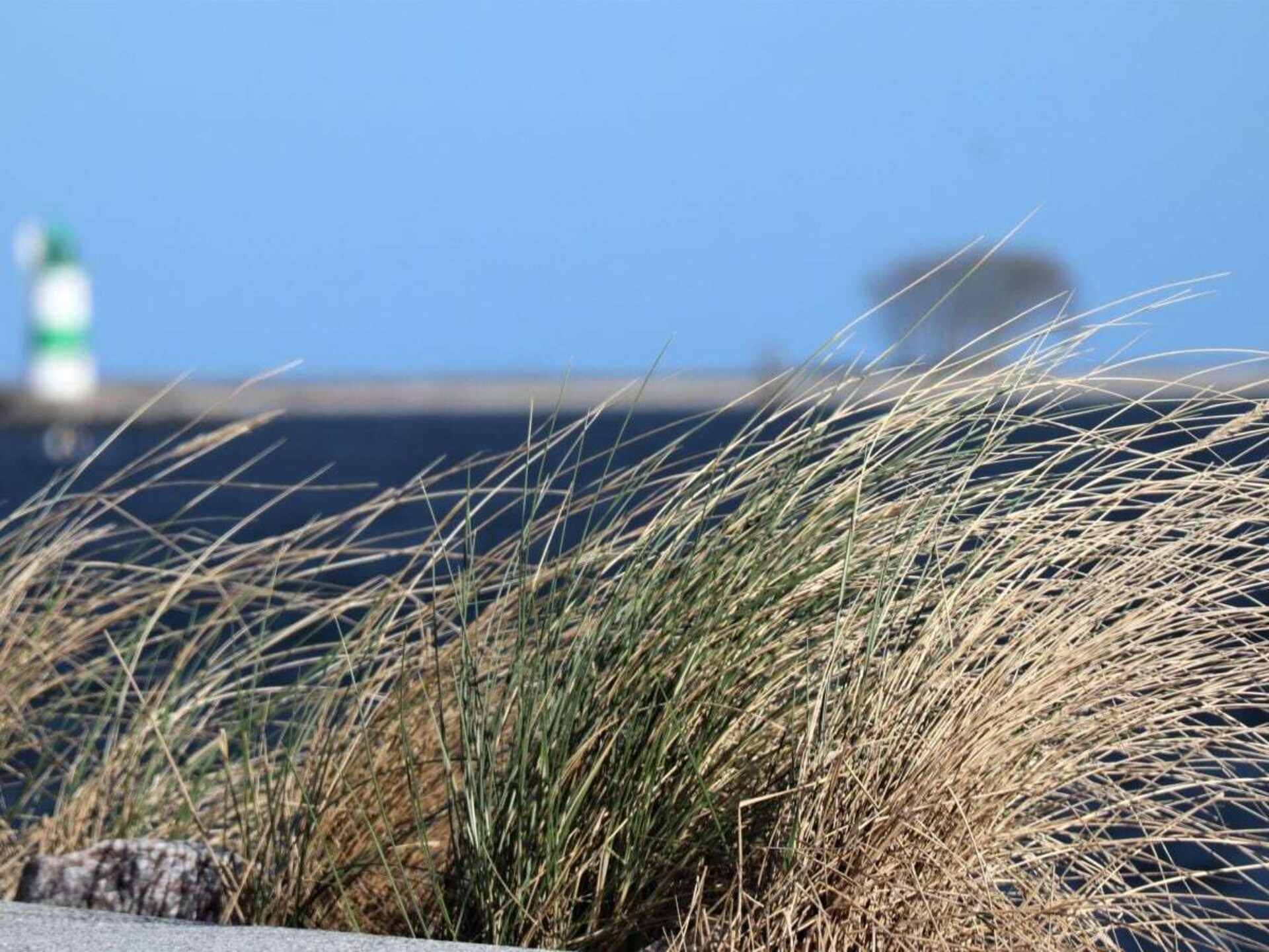 Molenhuus aan de Oostzee: knus vakantiehuis voor 3 personen in Kappeln - foto 30