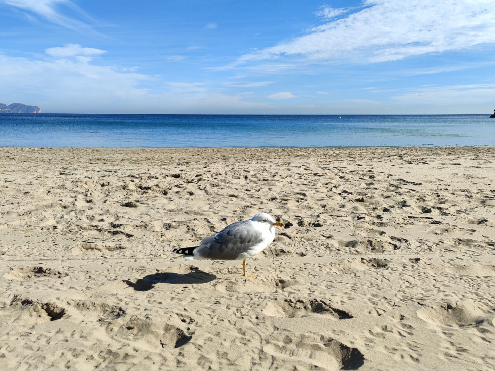 Ibiza-stijl vakantiehuis vlakbij strand Denia met zwembad - foto 29