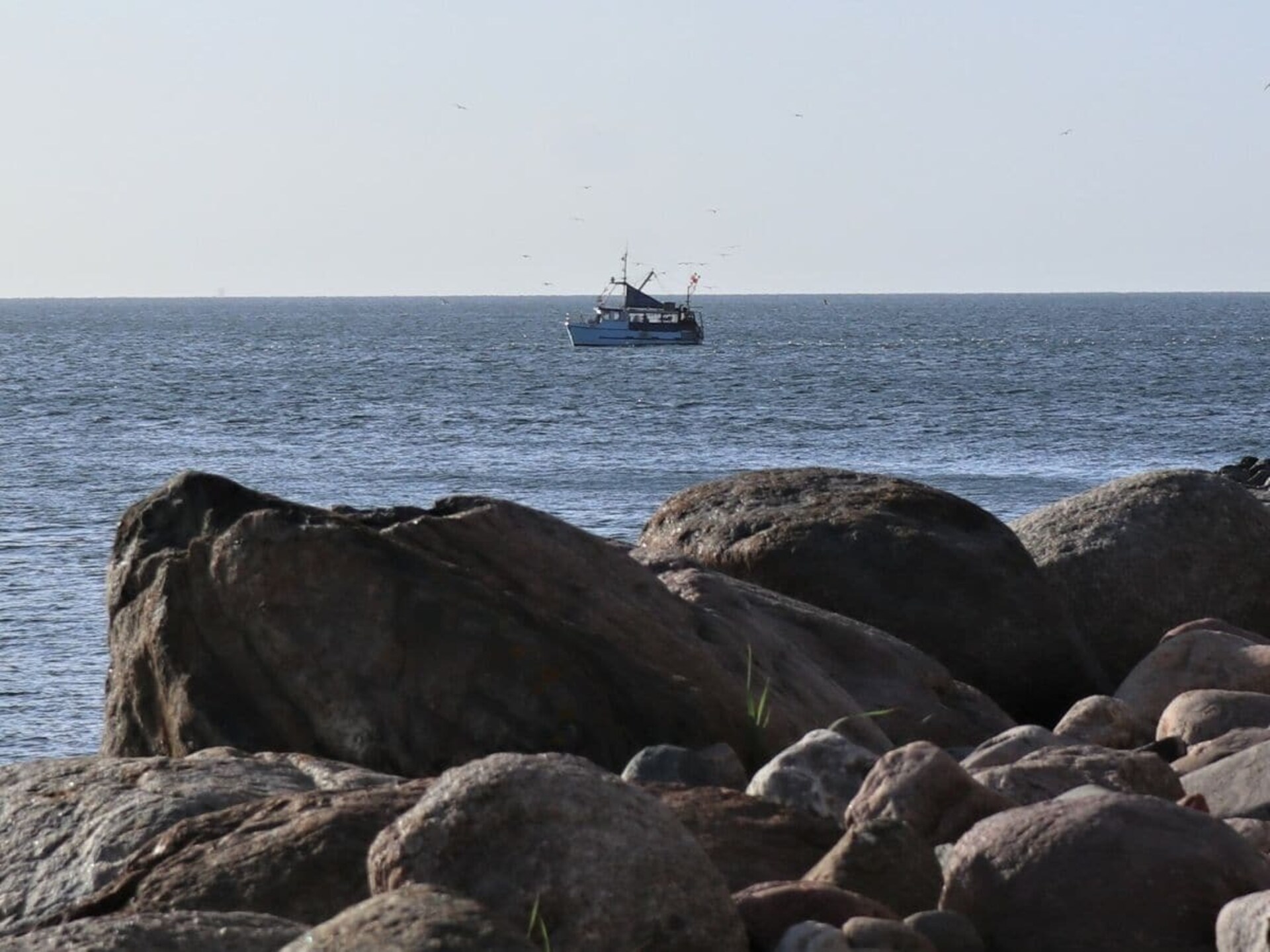 Molenhuus: Vrijstaand vakantiehuis aan de Oostzee bij Kappeln met zeezicht - foto 38