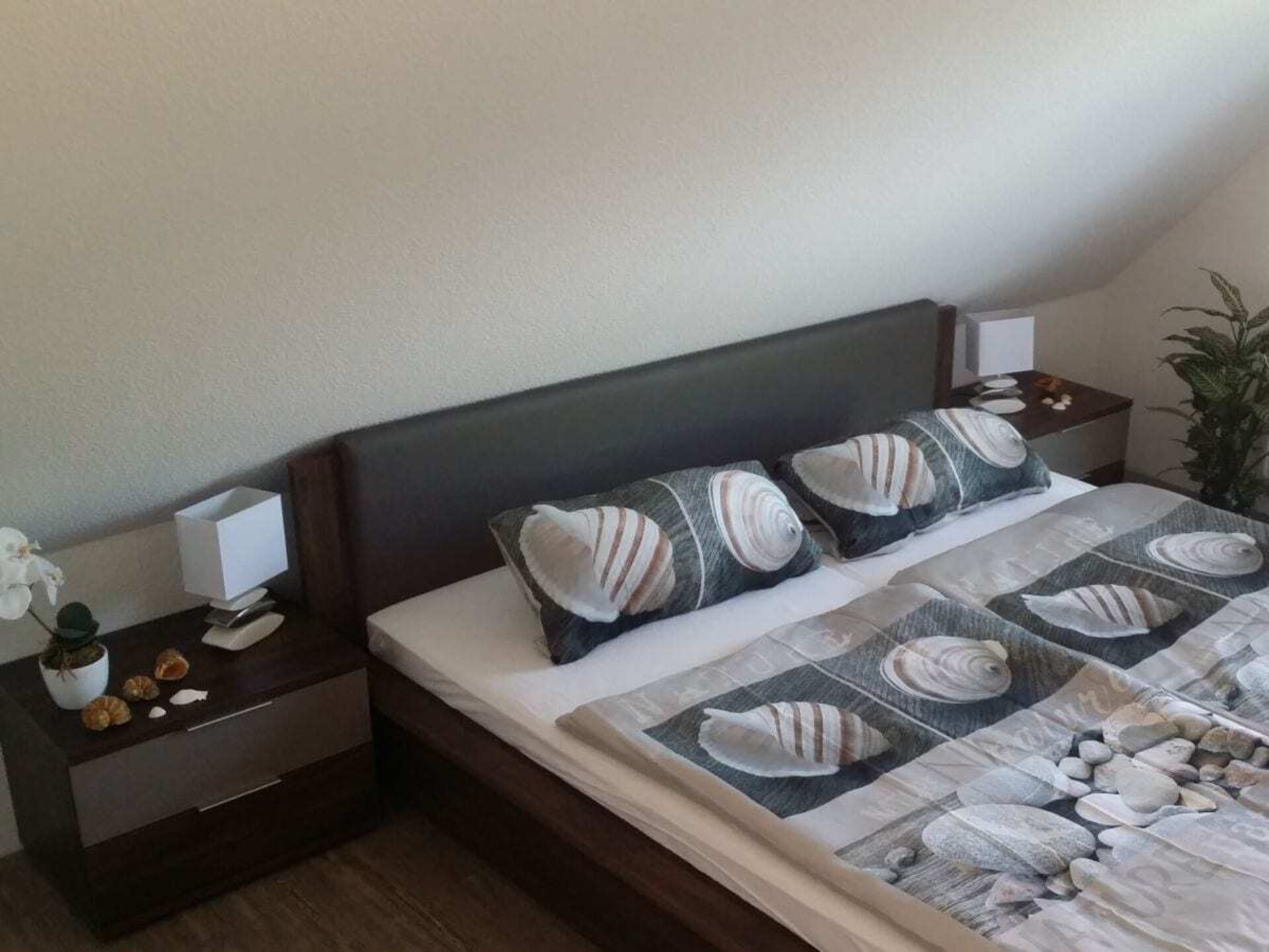 Licht vakantiehuis voor 7 personen met spa-badkamer, op 10 minuten van het strand van Rerik - foto 26