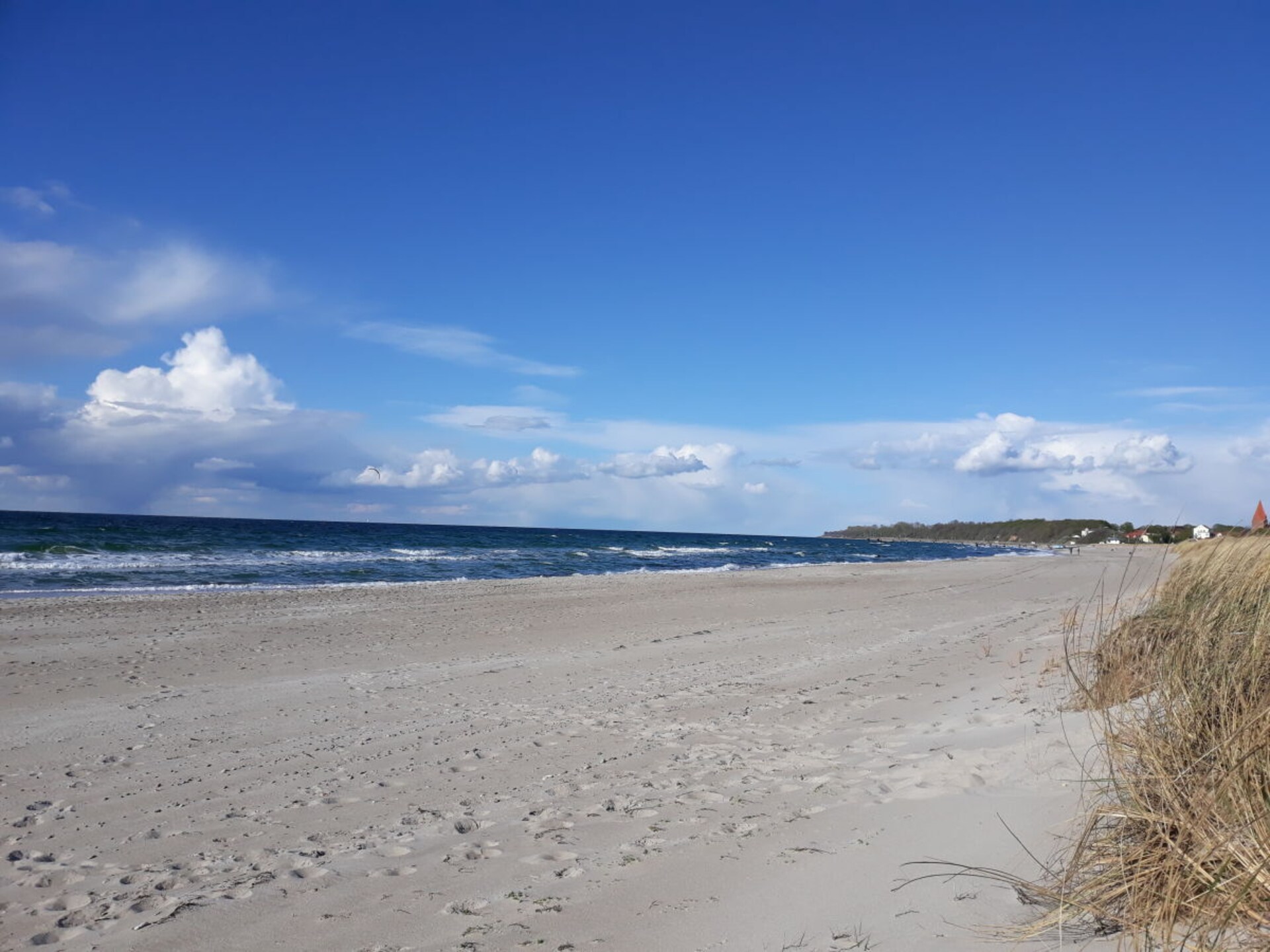 Licht vakantiehuis voor 7 personen met spa-badkamer, op 10 minuten van het strand van Rerik - foto 34