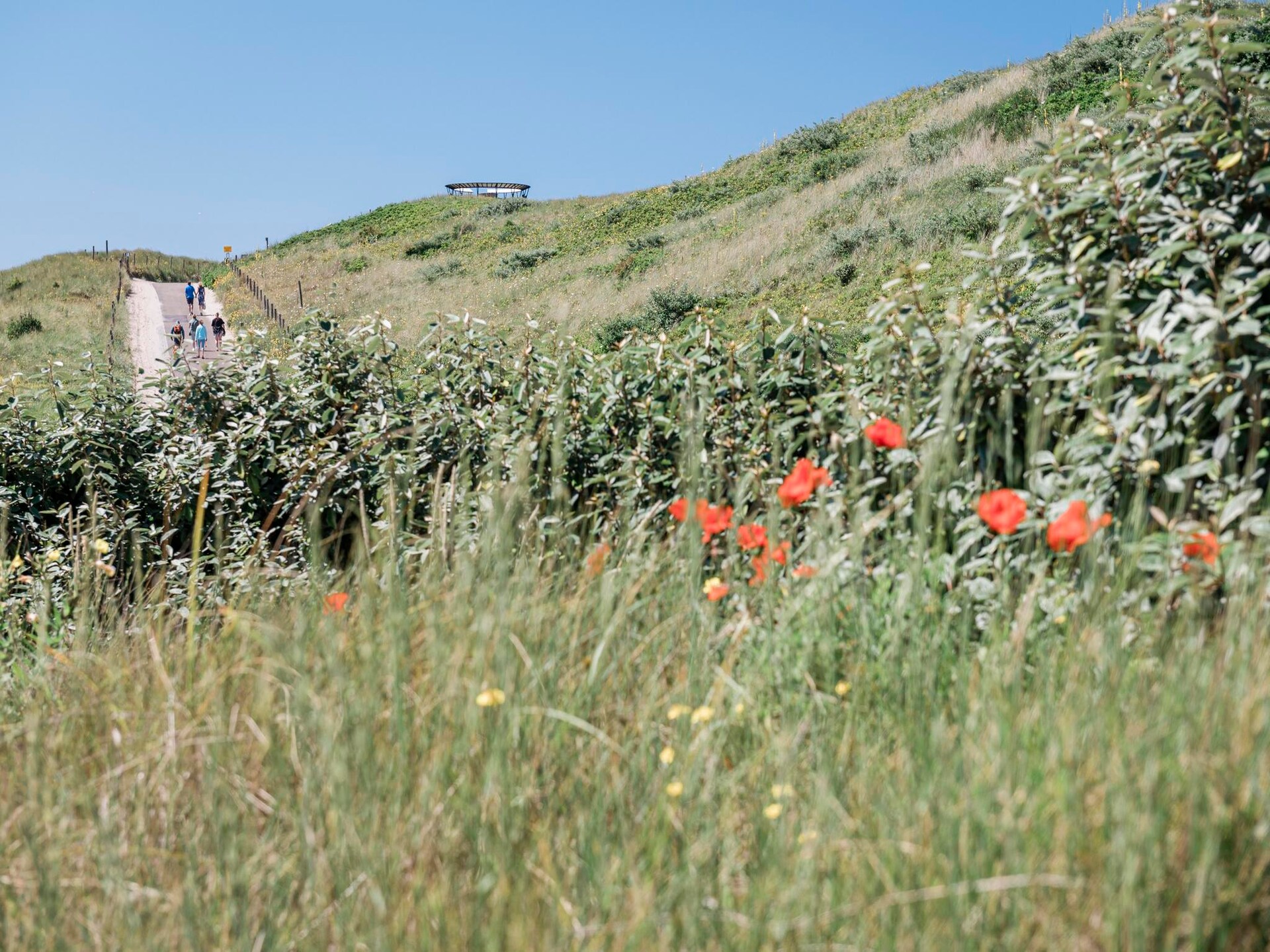 Duynsuites aan zee: sfeervol strandappartement in hartje Callantsoog - foto 17