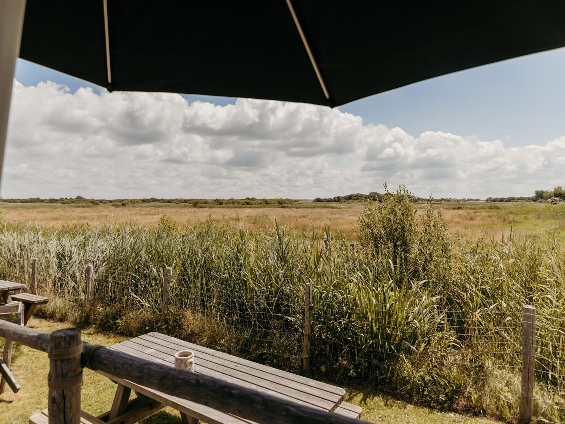 Reddingshuisje - Knusse strandbungalow in Callantsoog, 900m van zee - foto 27