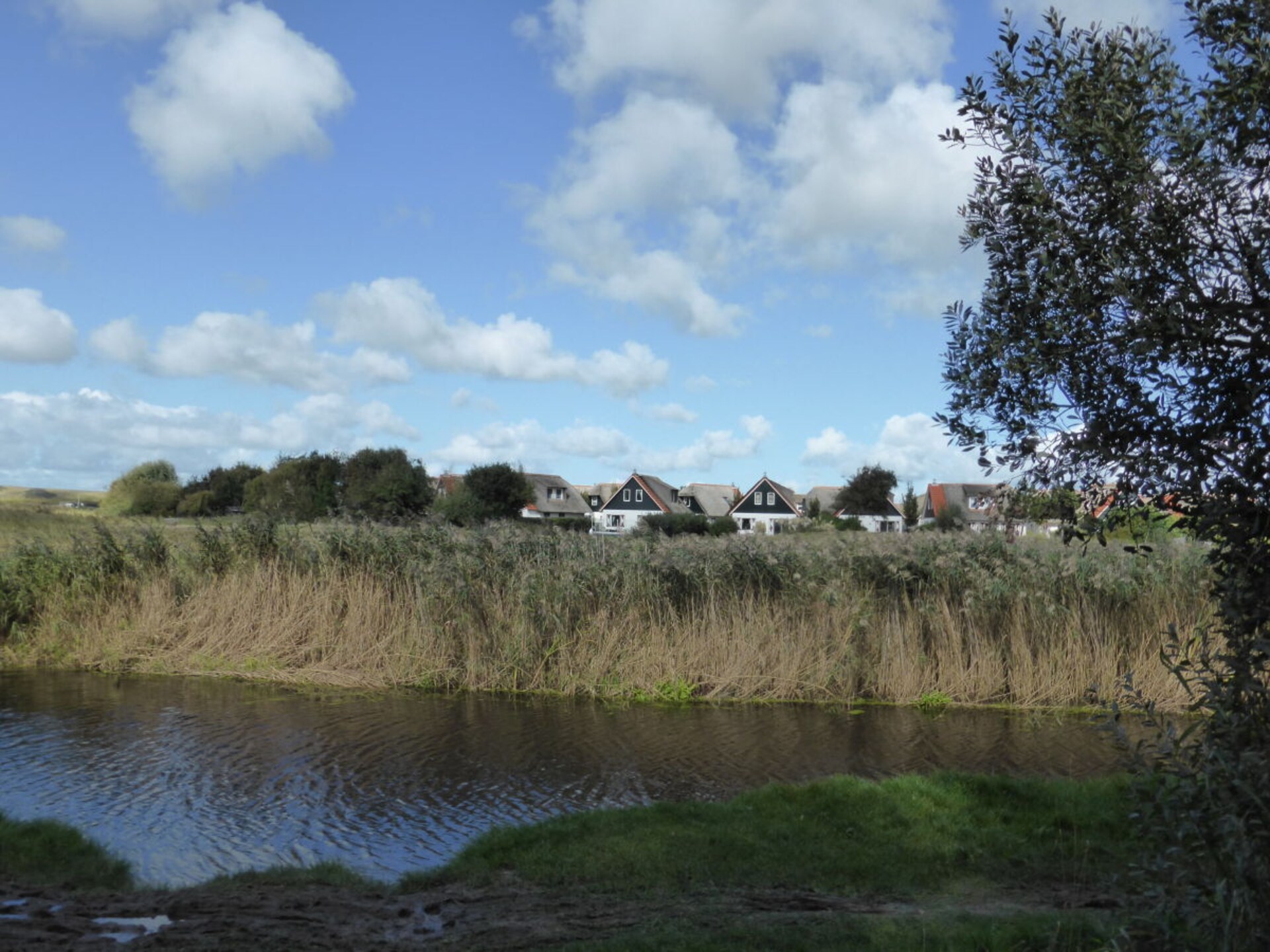Licht vakantiehuis met grote tuin op Buitenplaats, 1km van Callantsoog - foto 29