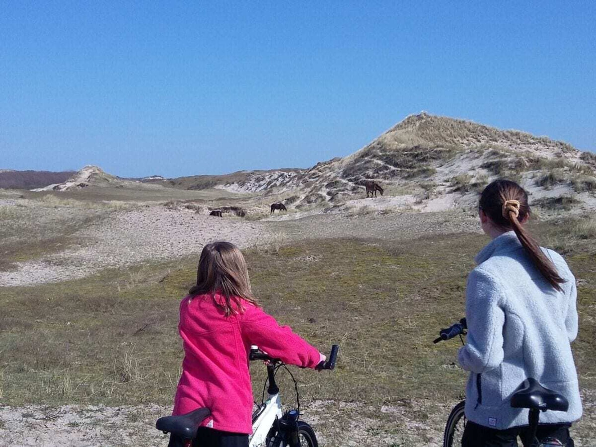 Licht vakantiehuis met grote tuin op Buitenplaats, 1km van Callantsoog - foto 36