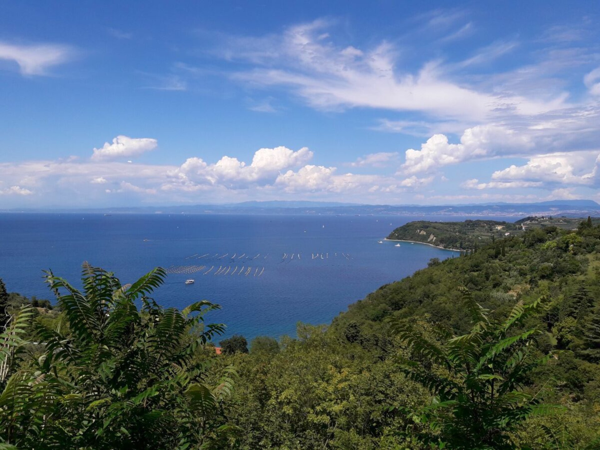 Vrijstaand vakantiehuis met zeezicht en WiFi, 1,5 km van centrum Portorož - foto 20