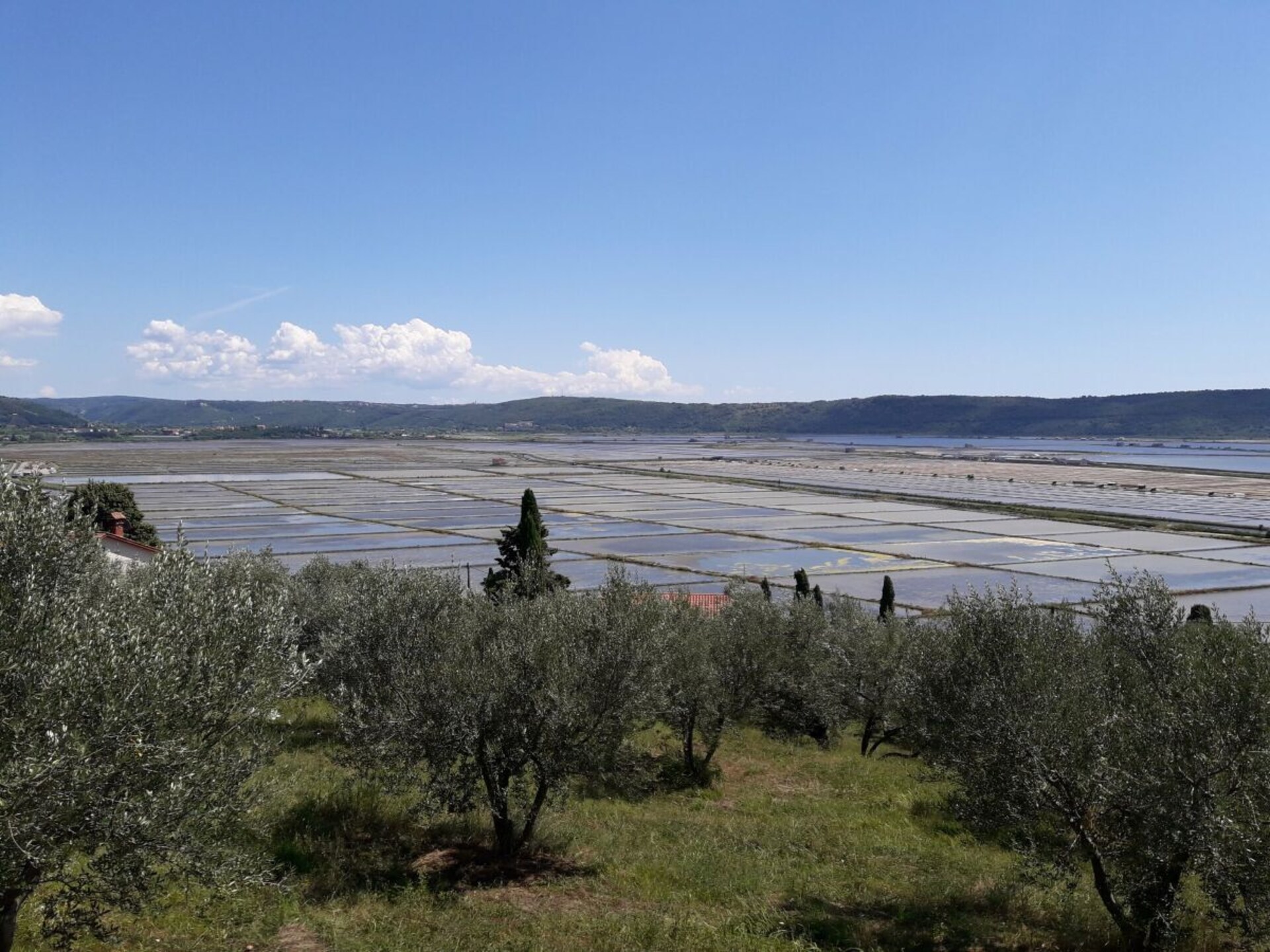 Vrijstaand vakantiehuis met zeezicht en WiFi, 1,5 km van centrum Portorož - foto 21