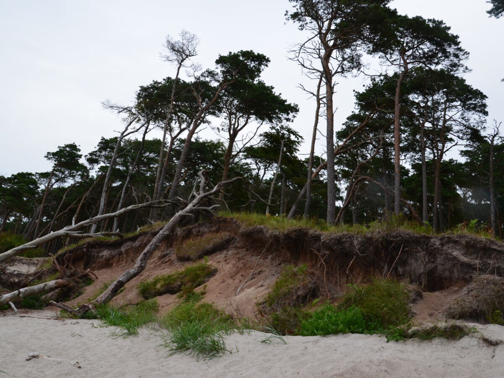 Vakantiehuis Klein-Müritz: rustig genieten aan de Müritz, 4 pers., 60m² - foto 33