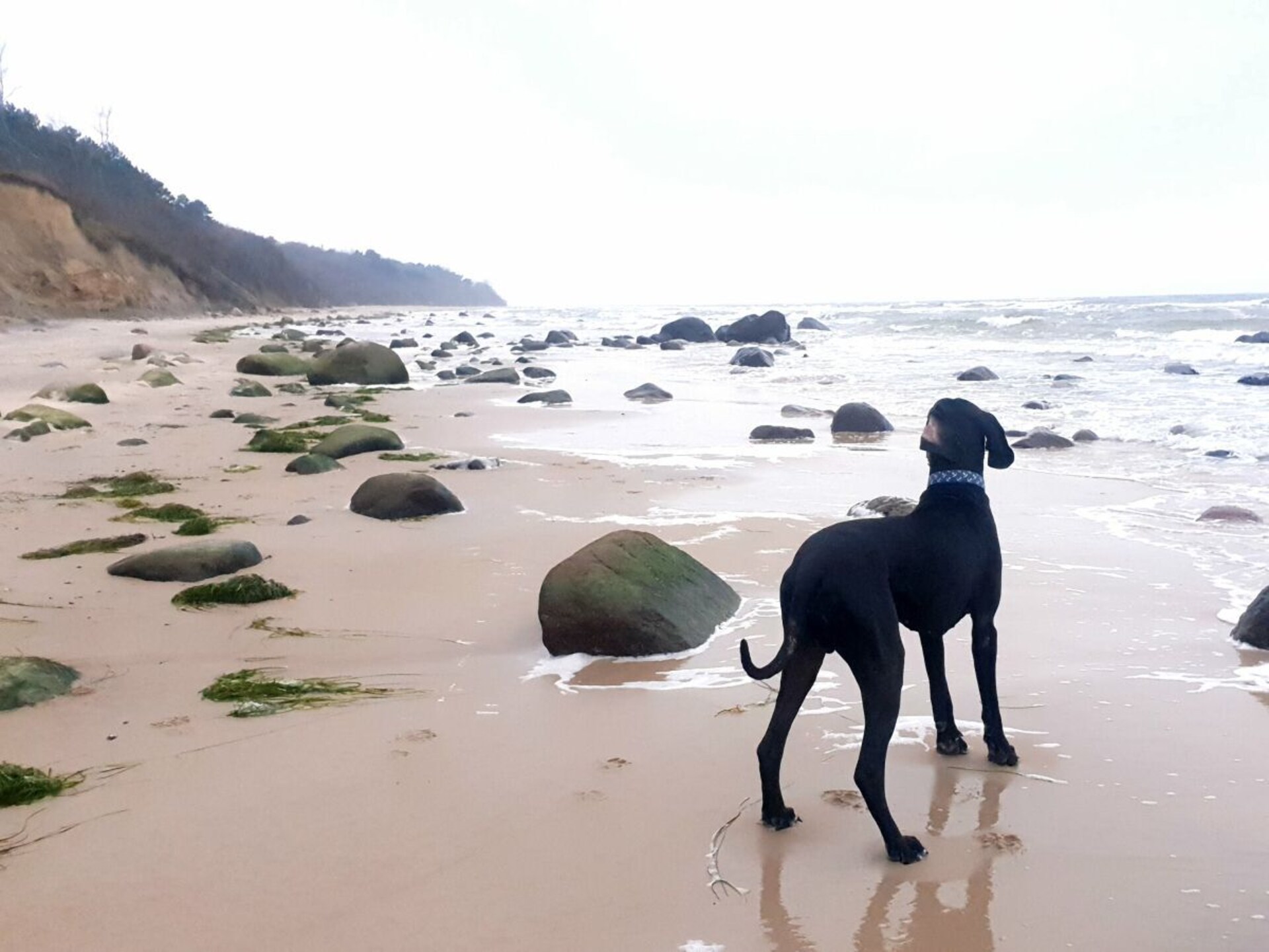 Vakantiehuis aan het water in Wiek op Rügen met eigen strandtoegang - foto 22