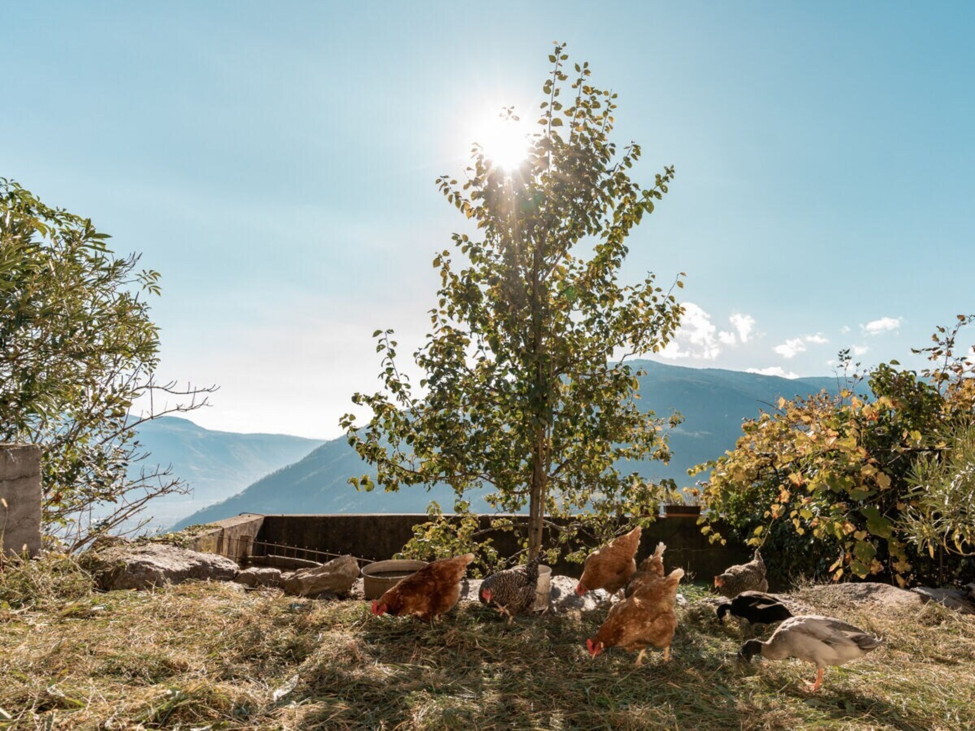 Vrijstaand vakantiehuis voor 2 in Partschins, Zuid-Tirol met uitzicht - foto 25