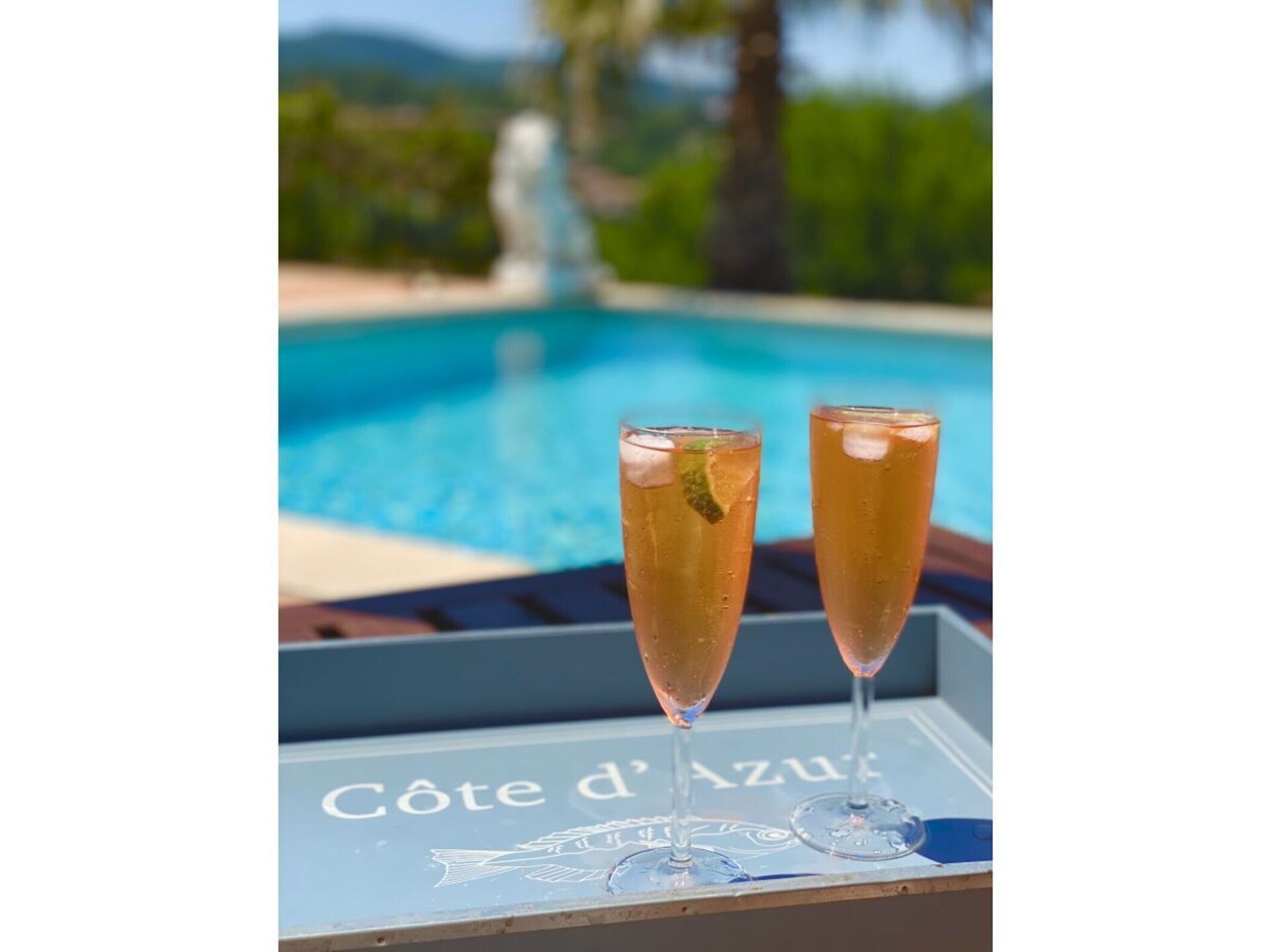 Ruime villa met privézwembad nabij Cannes in Montauroux - foto 37