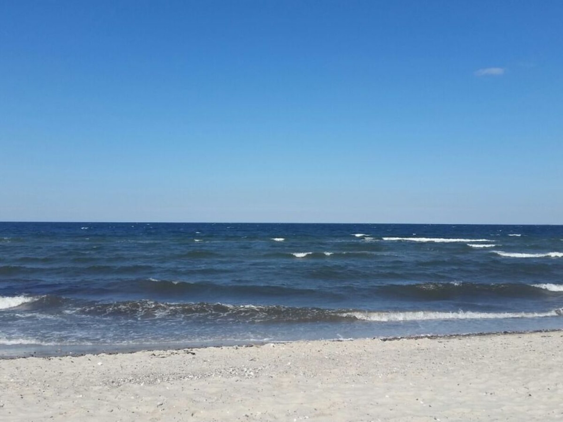 Lachmöwe: Appartement aan zee met balkon en Oostzeezicht voor 2 - foto 16