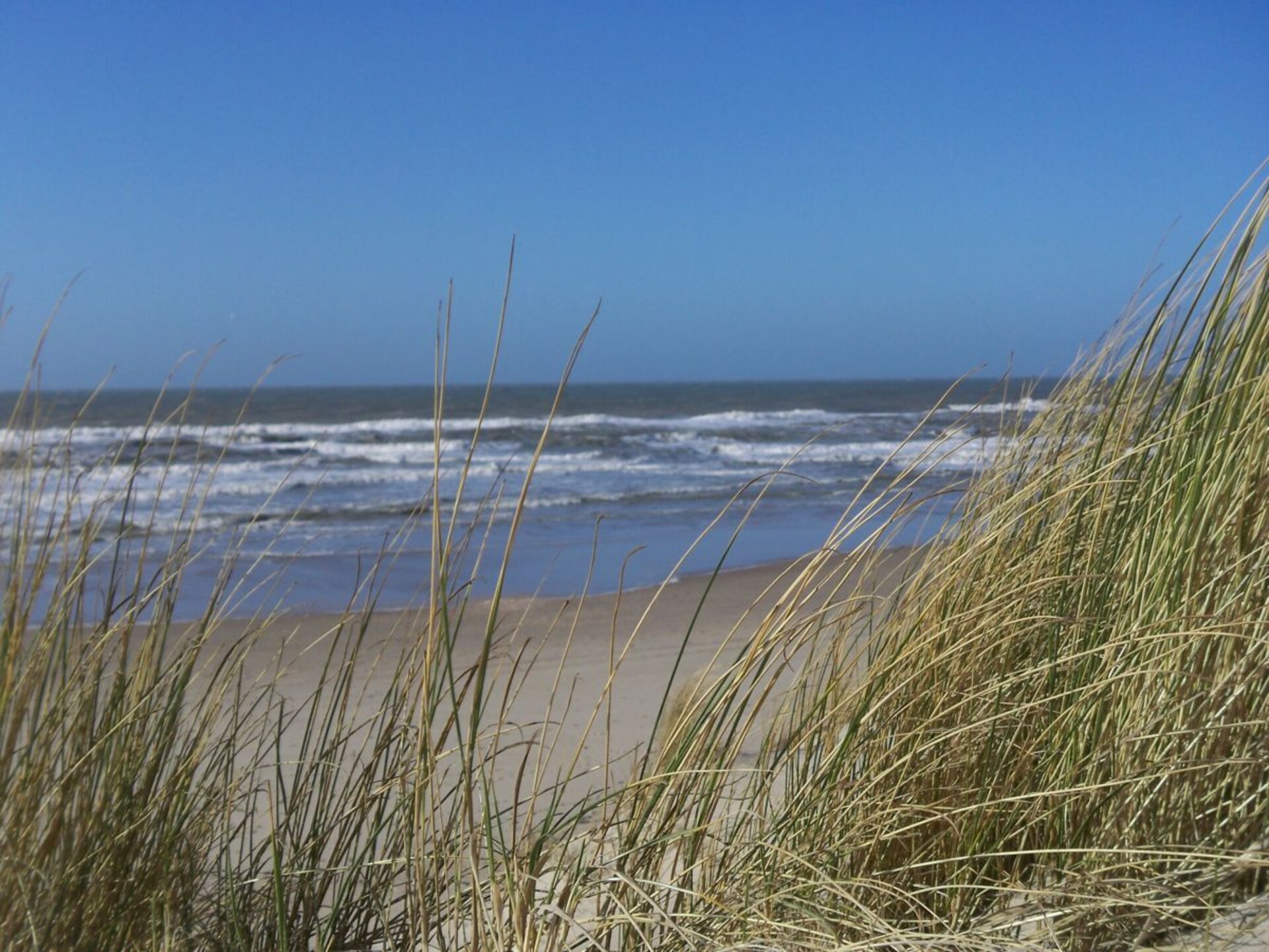 Luxe vakantiehuis met duinzicht op Strandslag in Julianadorp aan Zee - foto 19