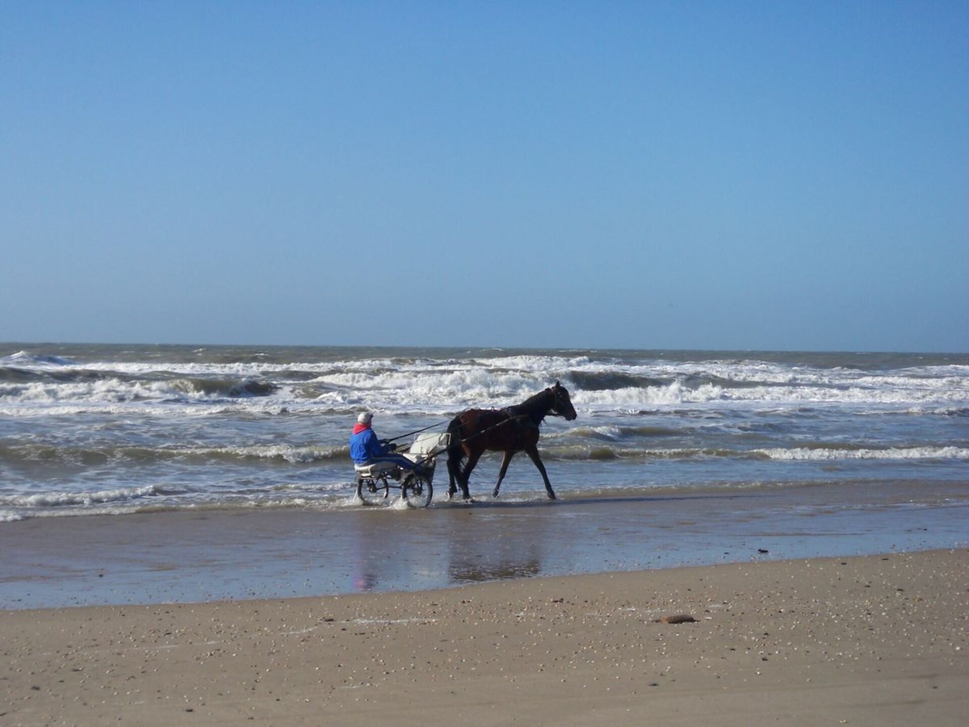 Luxe vakantiehuis met duinzicht op Strandslag in Julianadorp aan Zee - foto 20