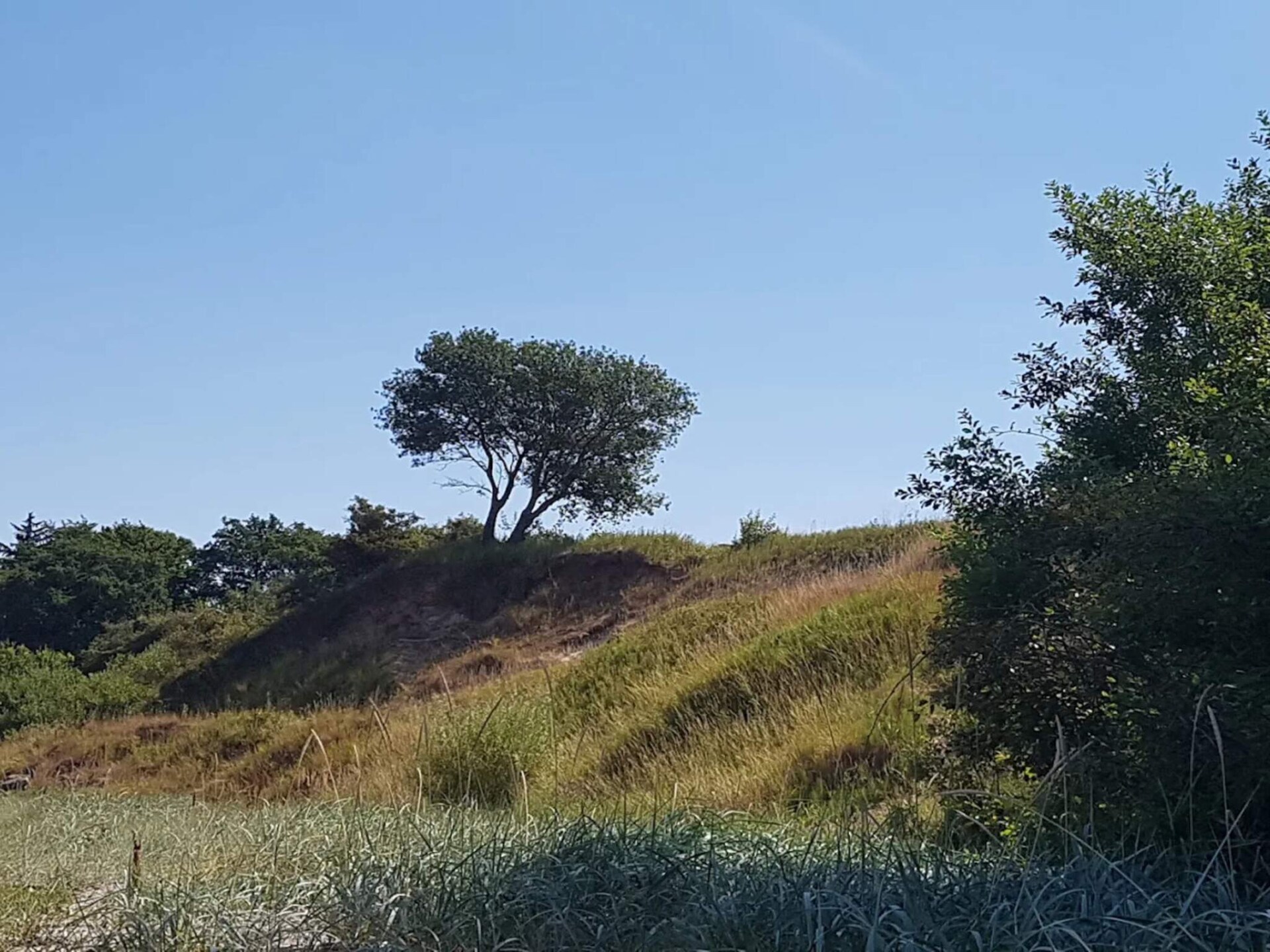 Op 300 m van zee: rustig vakantiehuis in Brenderup Fyn voor 6 personen - foto 9