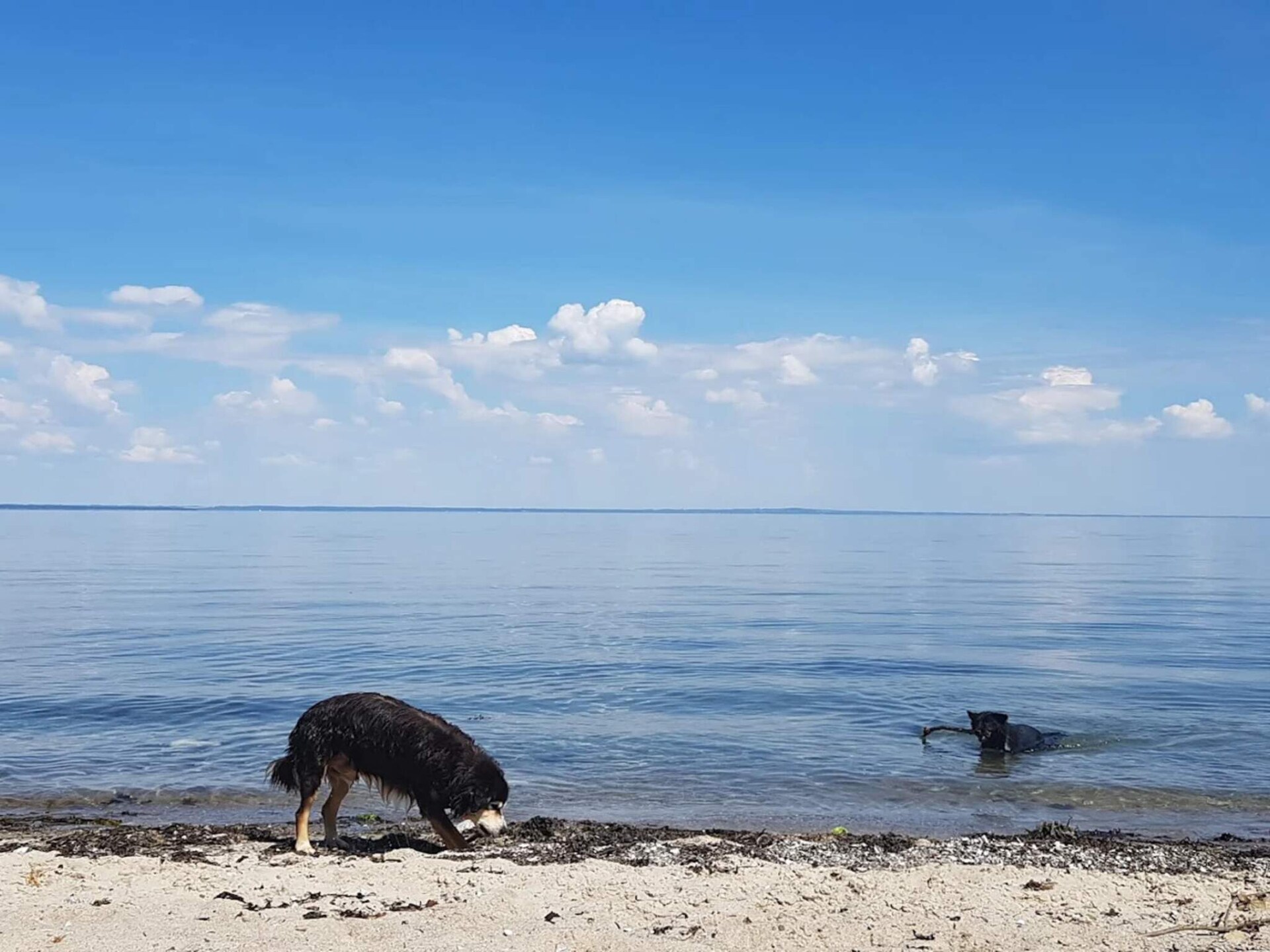 Op 300 m van zee: rustig vakantiehuis in Brenderup Fyn voor 6 personen - foto 10