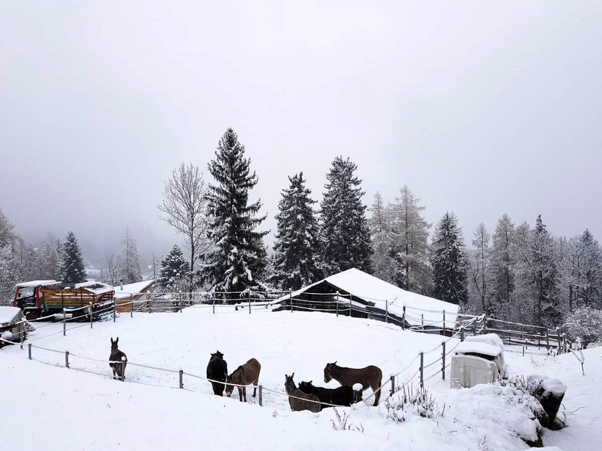 Chalet Verrel Beneden: knus appartement voor 4 in Fiesch, Wallis - foto 40