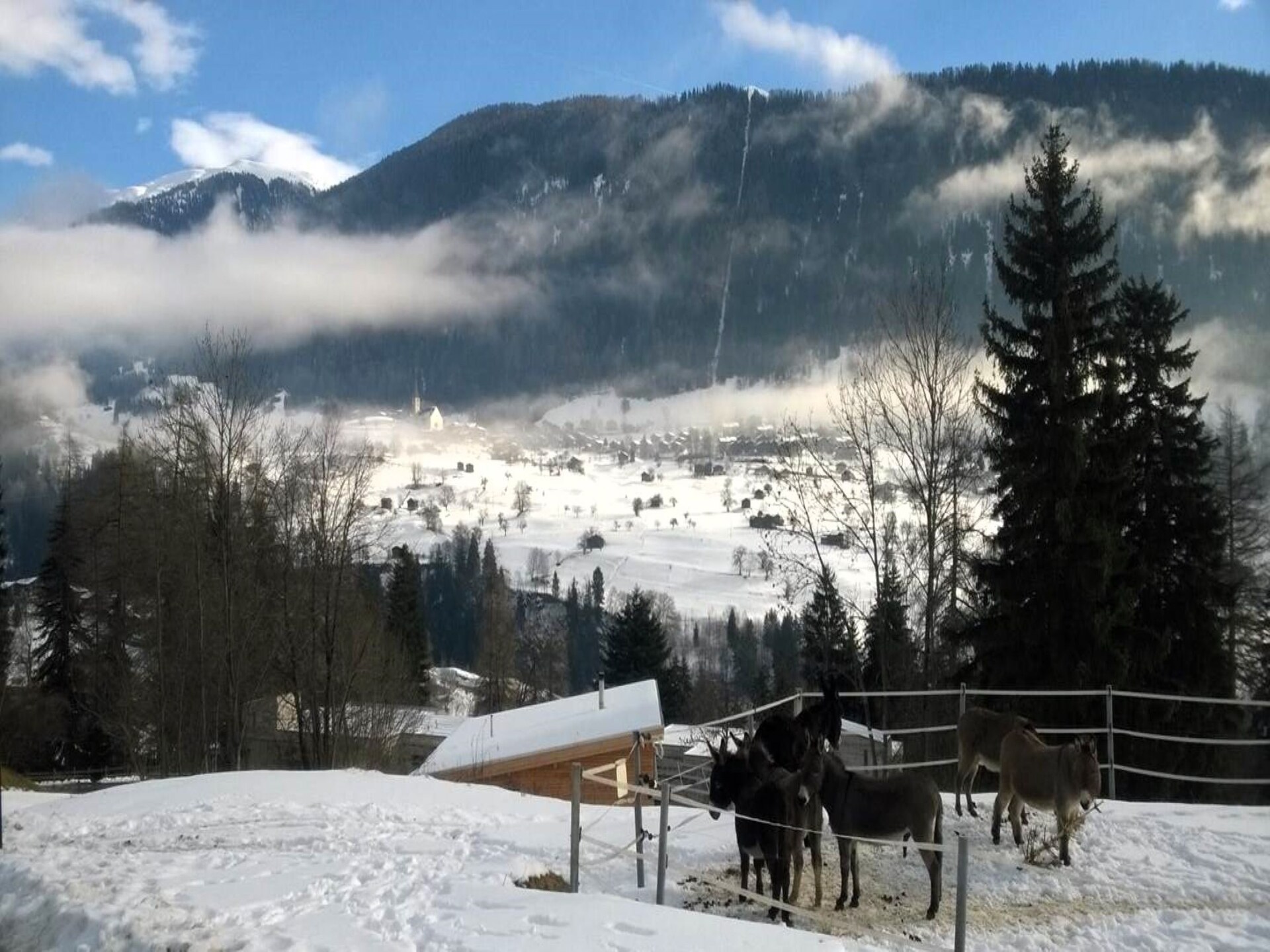 Wellness vakantiehuis in Fiesch voor 8 personen - foto 40