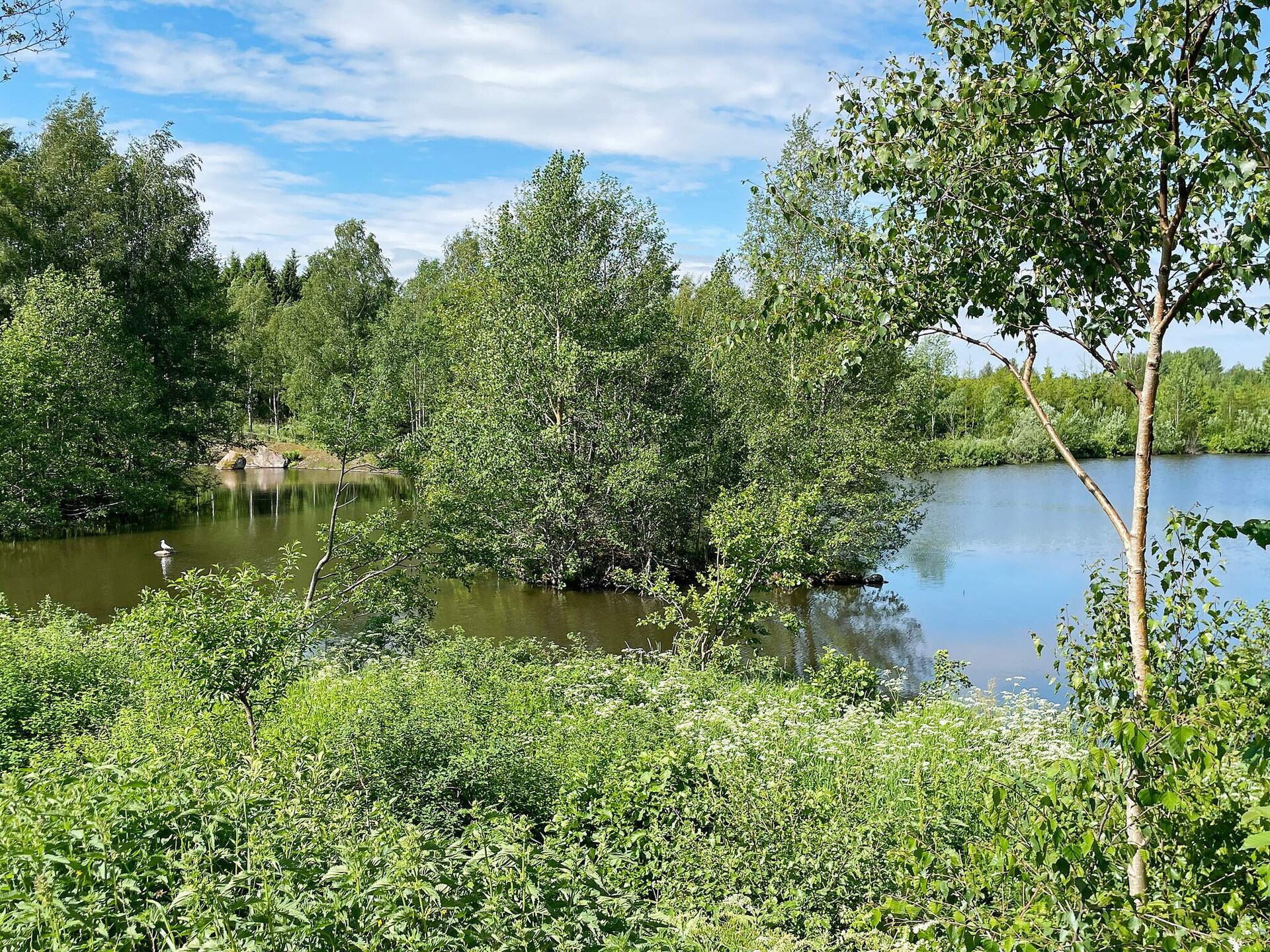 Vakantiehuis aan het Vättermeer met uitzicht en golfbaan nabij Ödeshög - foto 13