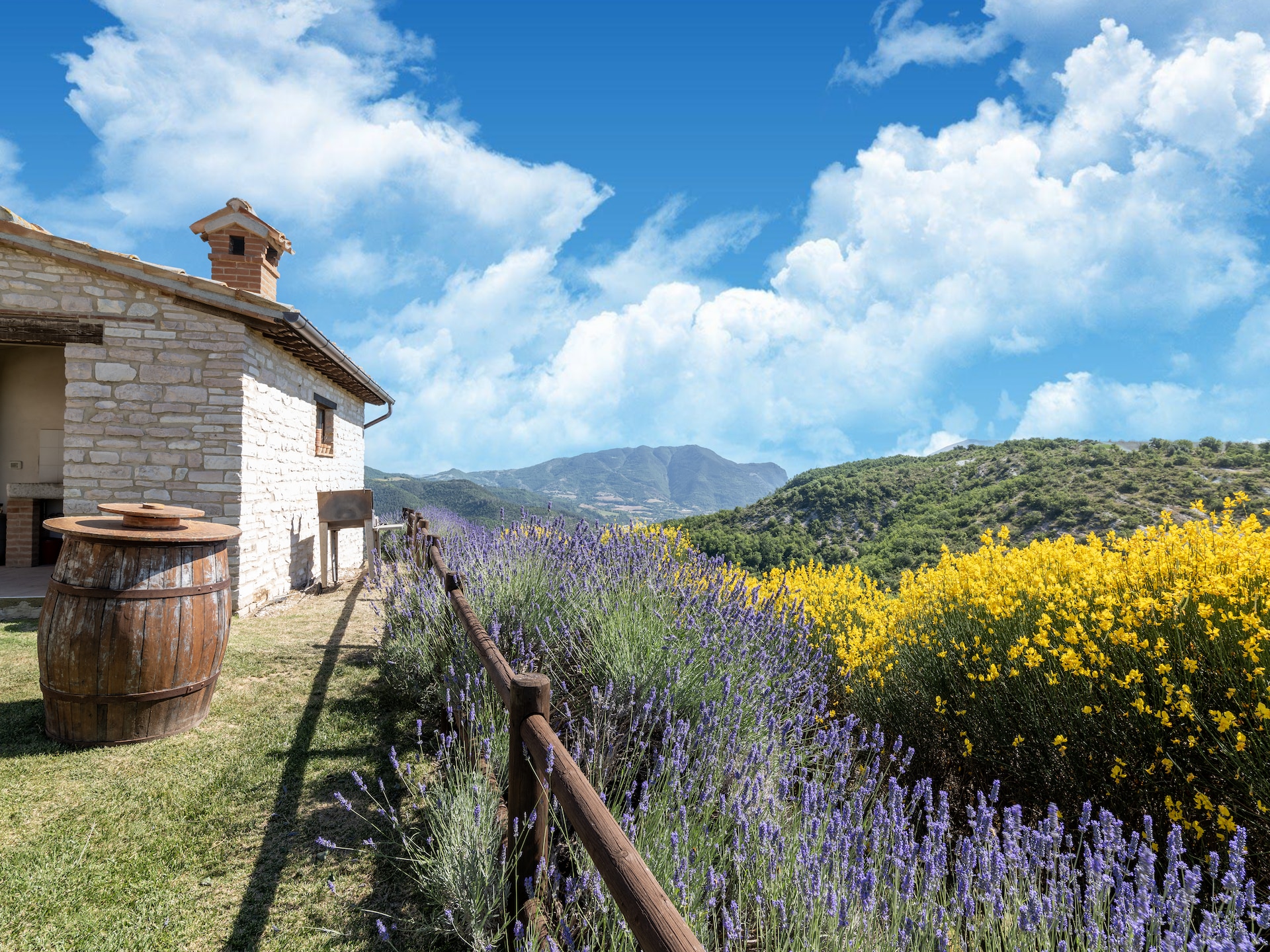 Rustieke boerderij Iris in Cagli met panoramisch uitzicht - foto 31