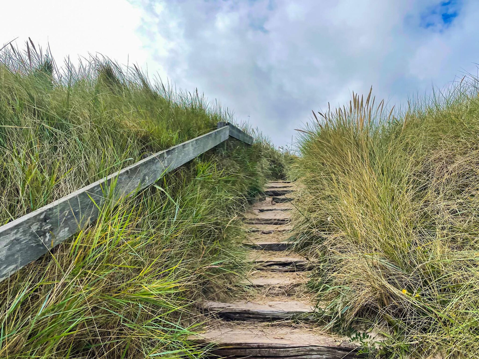 Ruim vakantiehuis met privézwembad en glijbaan op 2 km van de Noordzee - foto 4