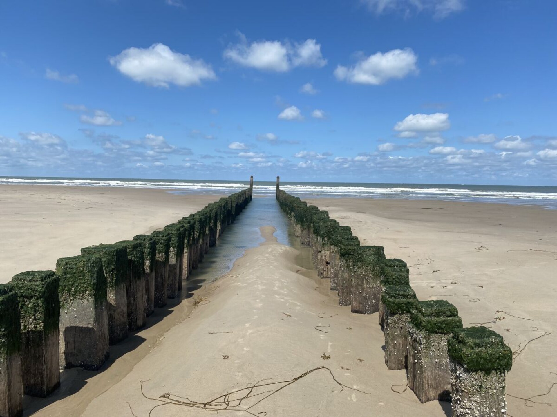 Kindvriendelijk bovenappartement met grote tuin, 2 km van strand Oostkapelle - foto 22
