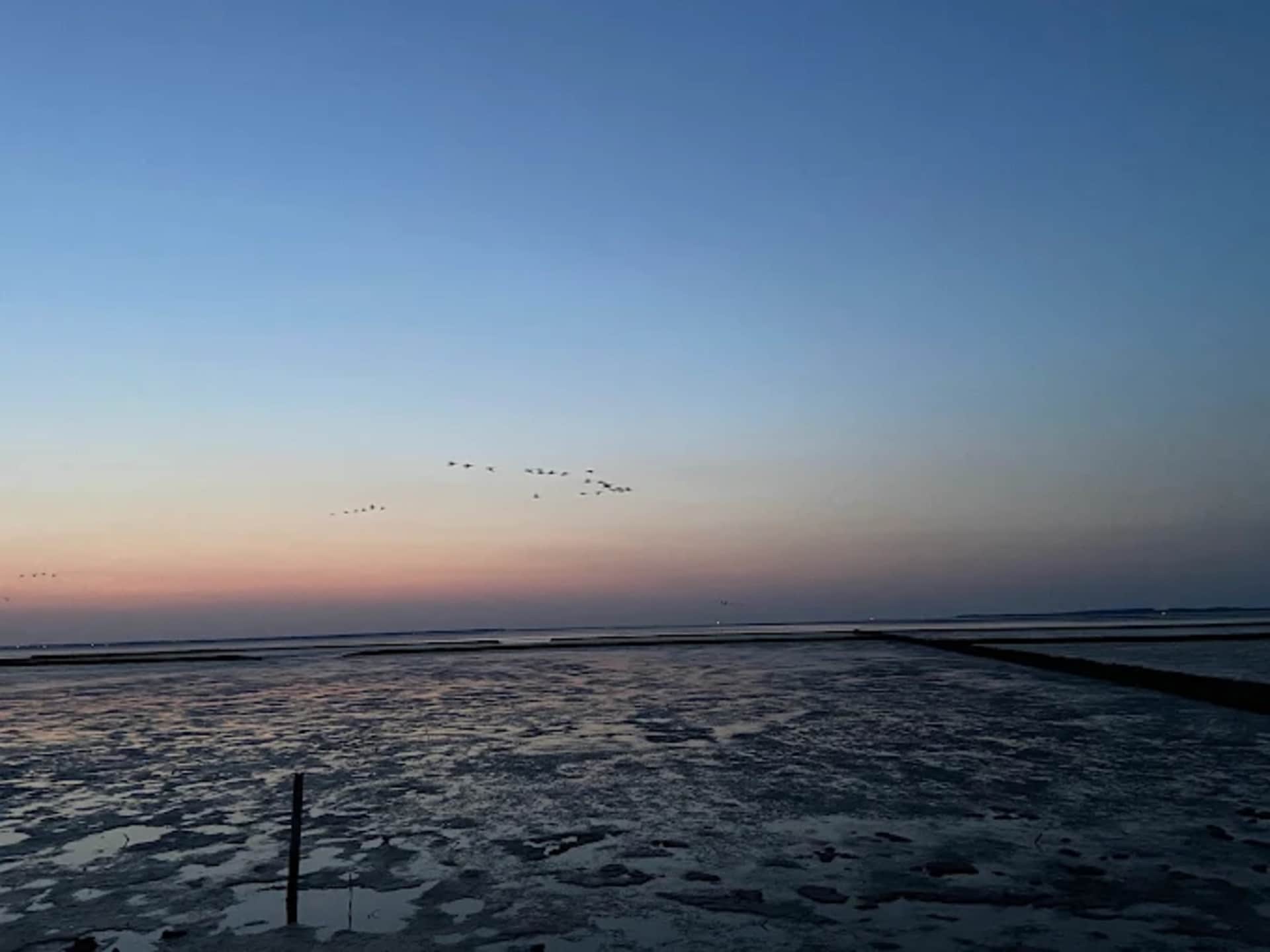 Op 1,0 km van zee: Bungalow Nordseebrise in Dornumersiel - foto 34