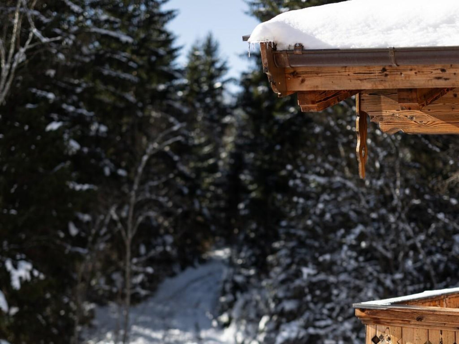 Aan de piste: Luxe Nationalpark Chalet Blindis in Neukirchen - foto 41