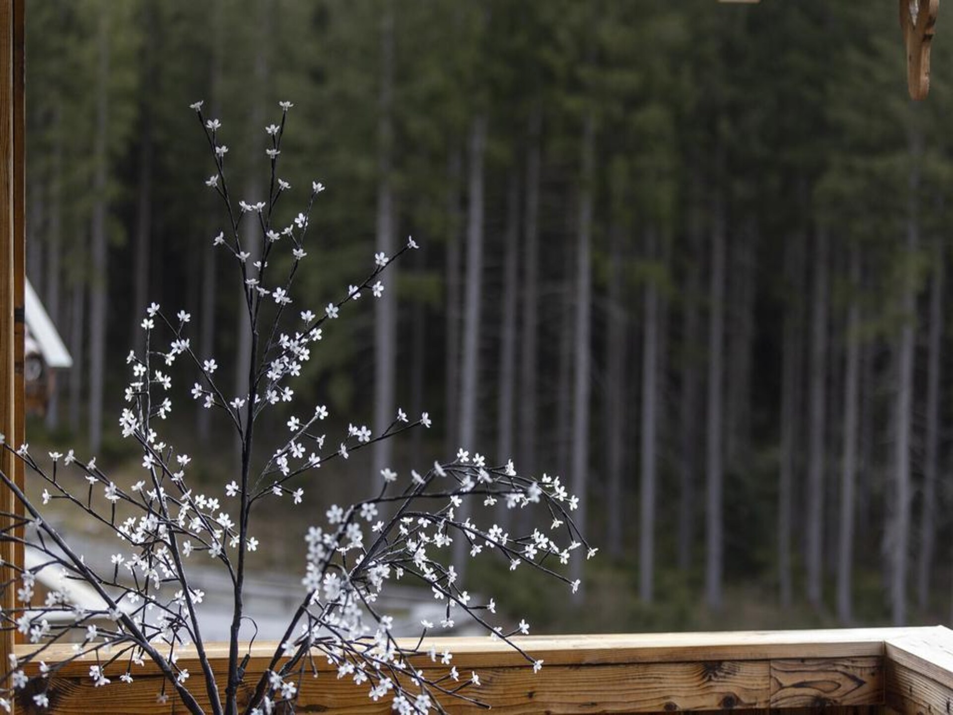Chalet Hoher Sonnblick: vrijstaand aan de piste in Neukirchen - foto 33