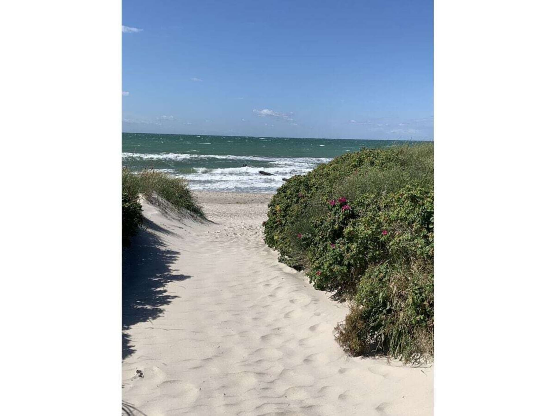 Knus vakantiehuis op 2 minuten van het strand in Ahrenshoop - foto 19
