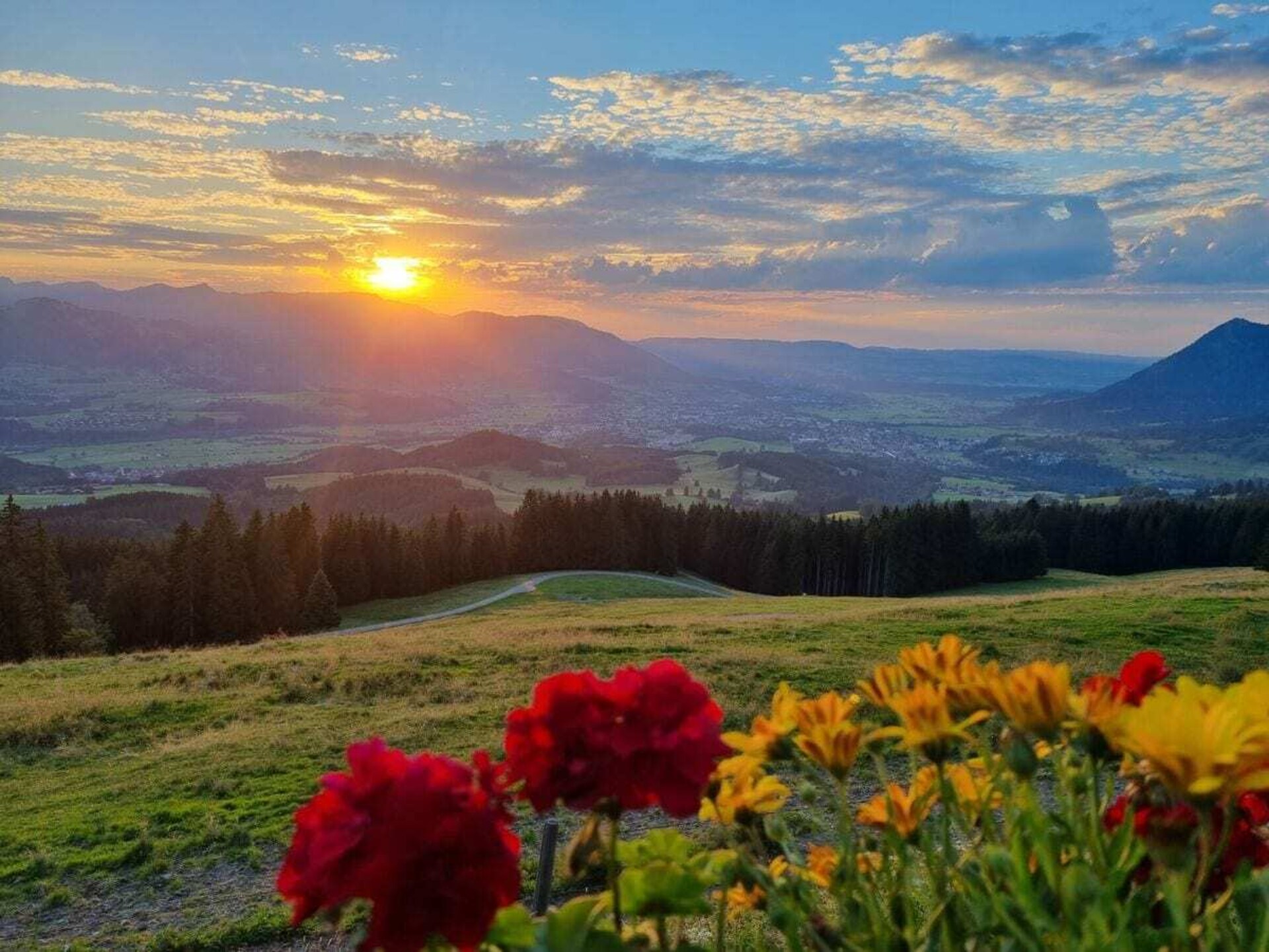 Knus appartement voor 2 met bergzicht in het hart van de Allgäu - foto 10