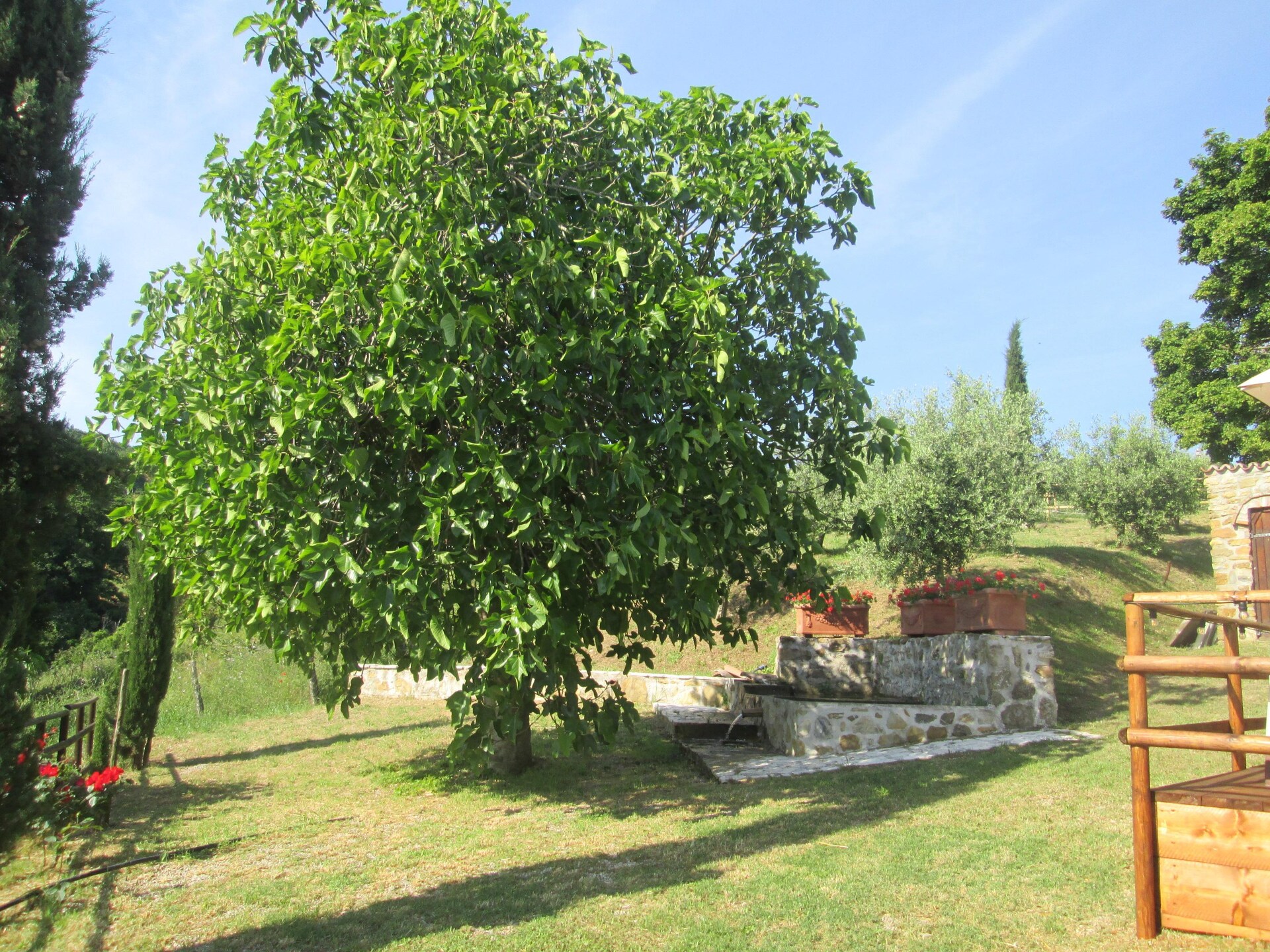 Vrijstaande Toscaanse villa met privézwembad en 6 hectare natuur bij Castelnuovo - foto 38