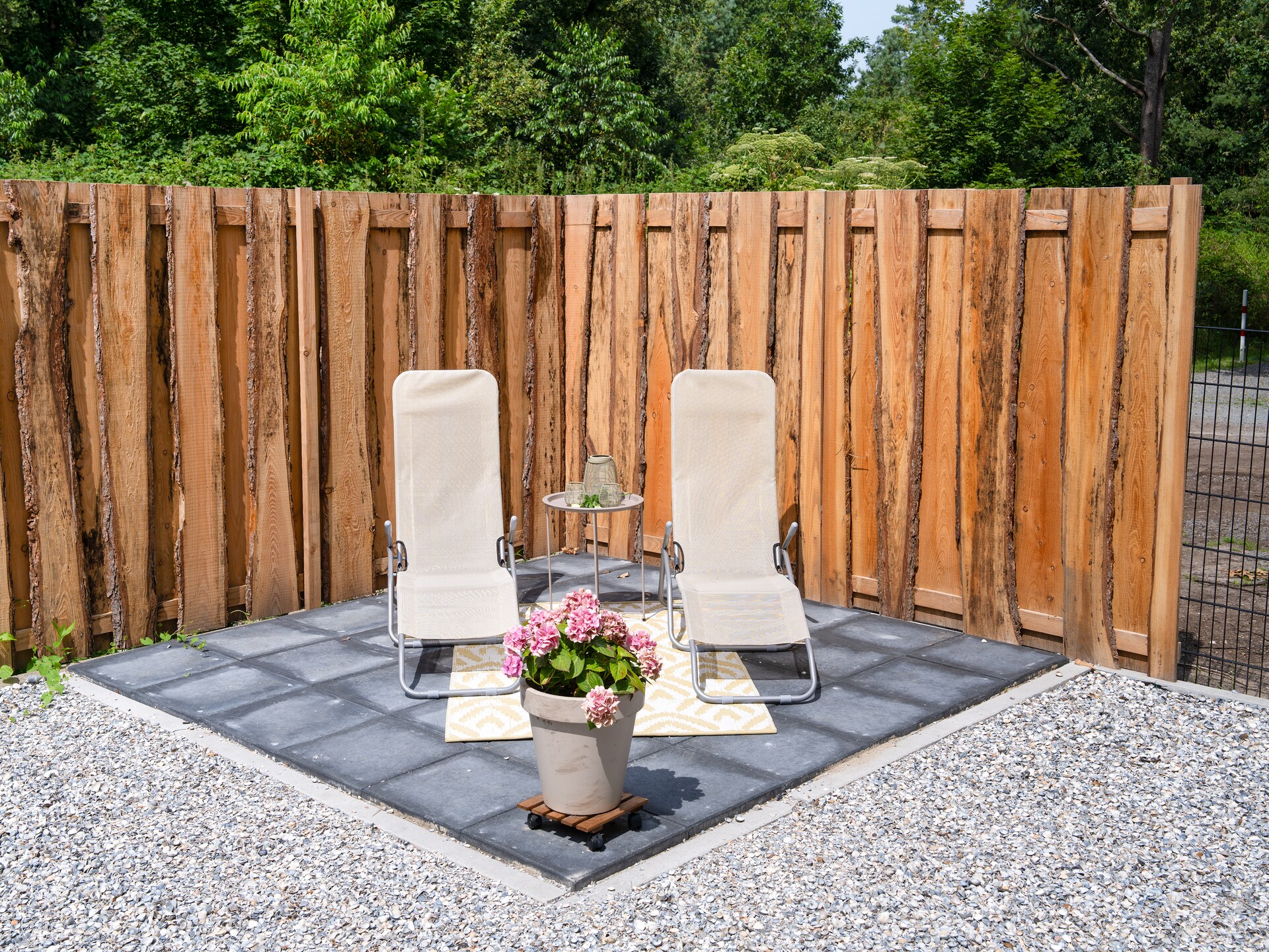 Lodge David: idyllisch vakantiehuis in het Veluwewoud bij Hattemerbroek - foto 20