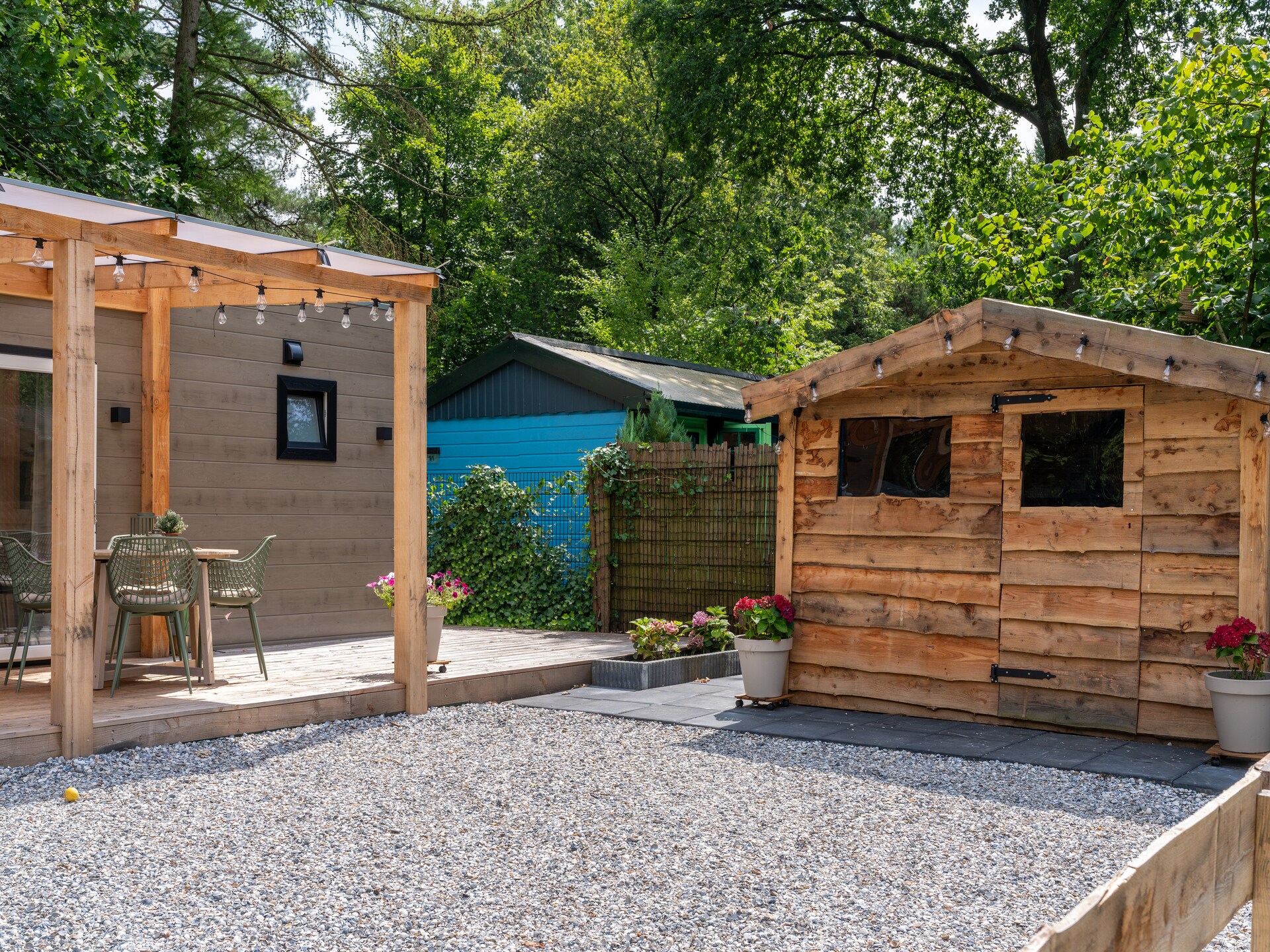 Lodge David: idyllisch vakantiehuis in het Veluwewoud bij Hattemerbroek - foto 29