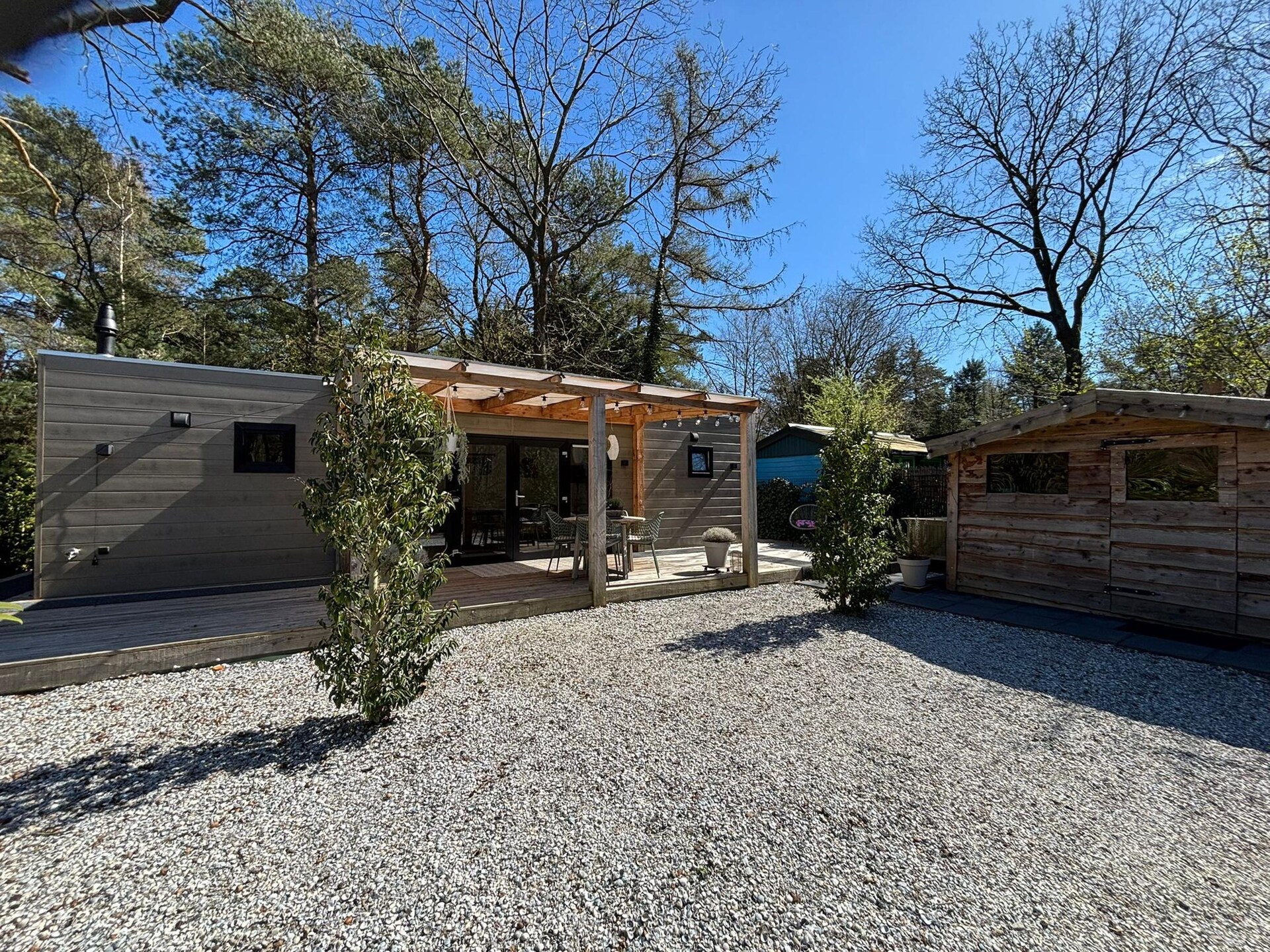 Lodge David: idyllisch vakantiehuis in het Veluwewoud bij Hattemerbroek - foto 35