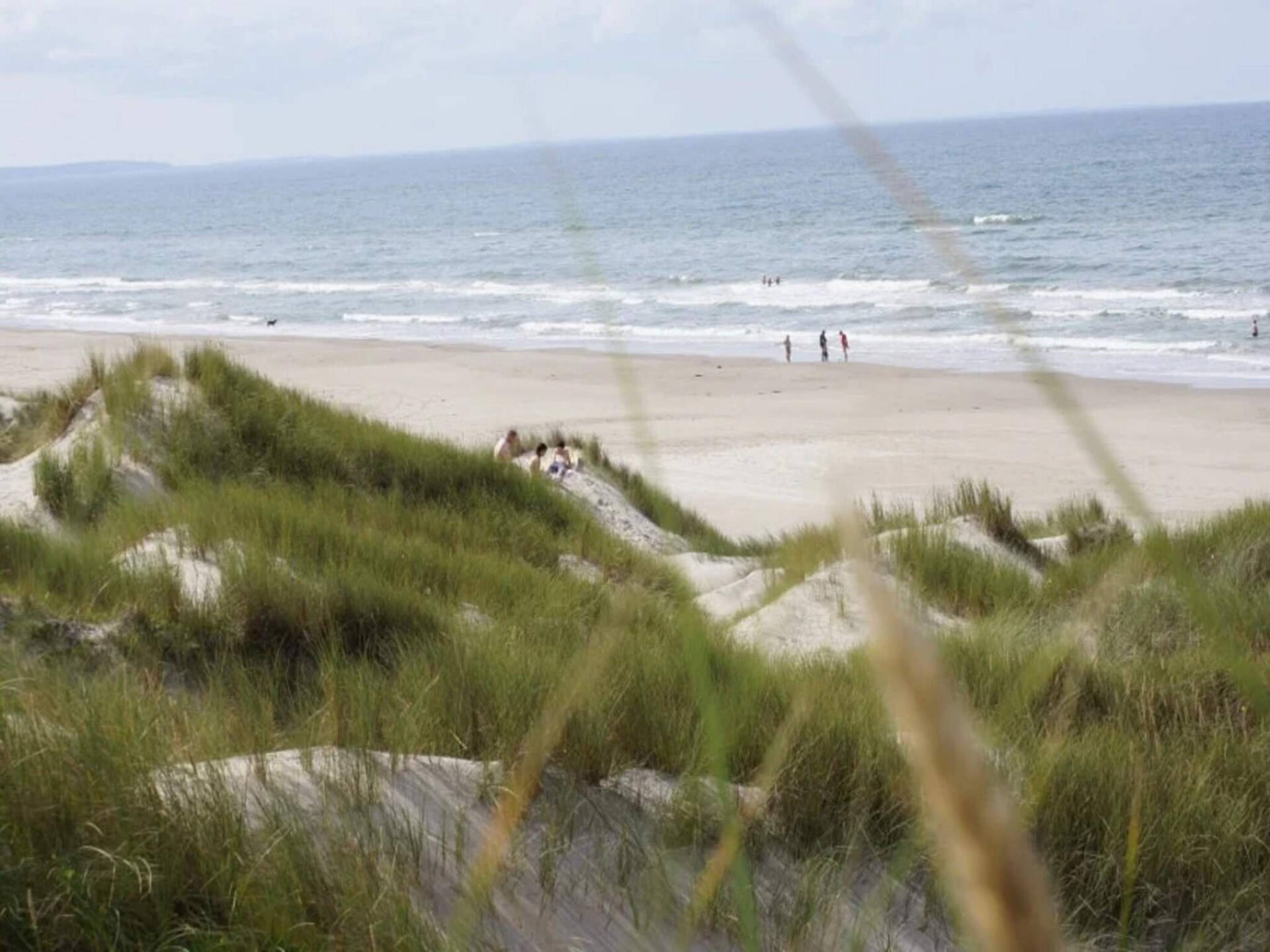 Licht Vakantiehuis aan de Golfbaan bij Blokhus – 600m van Zee - foto 17